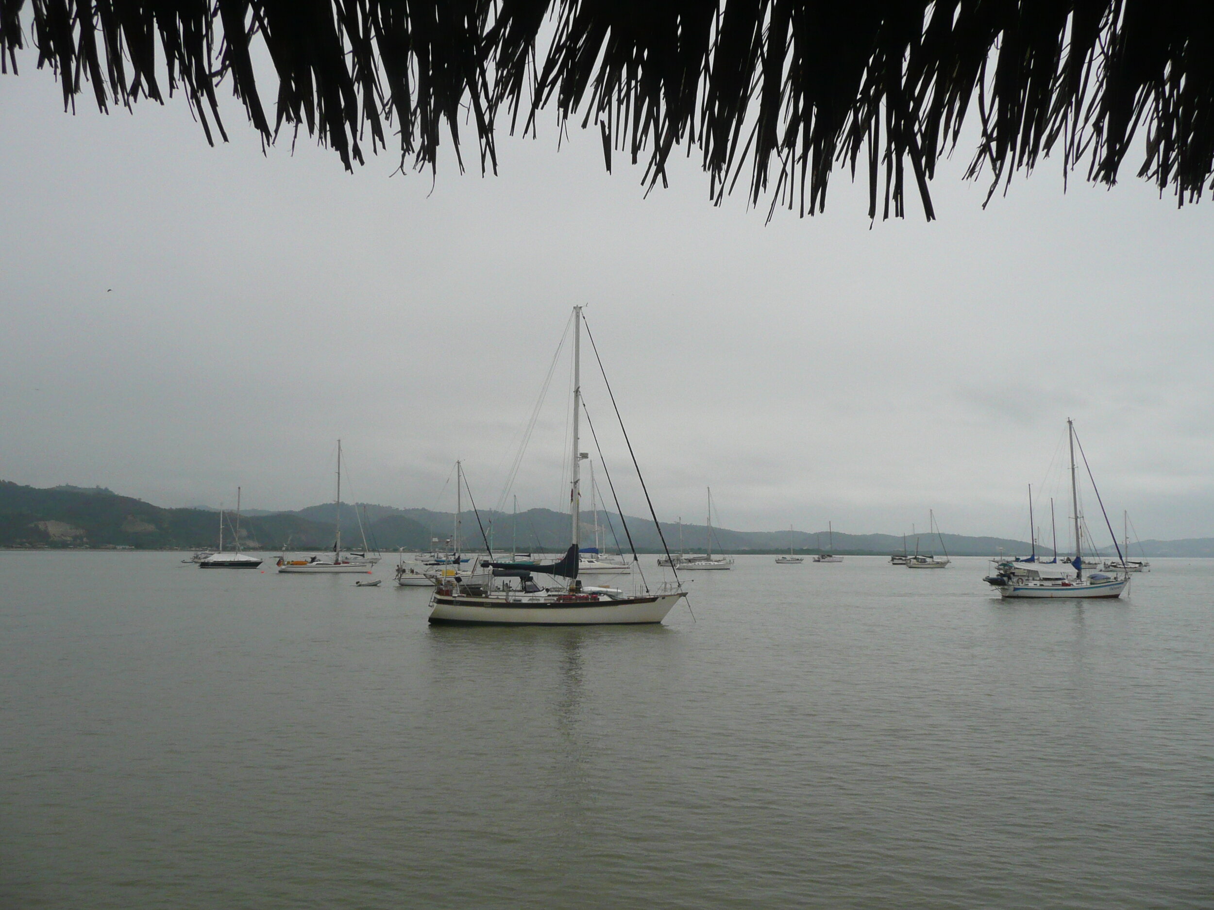 Cups at anchor off the marina