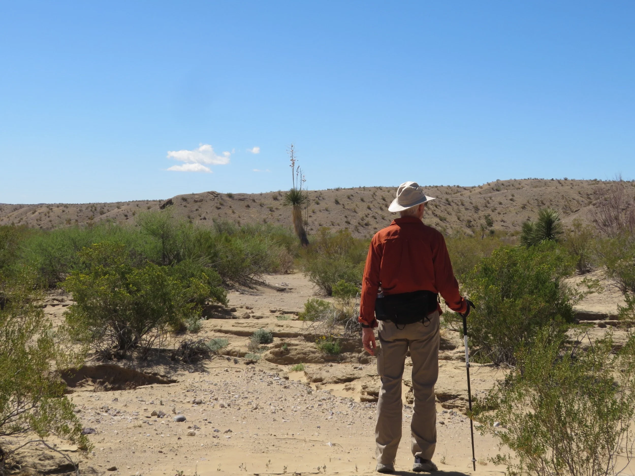 Big Bend National Park - 2