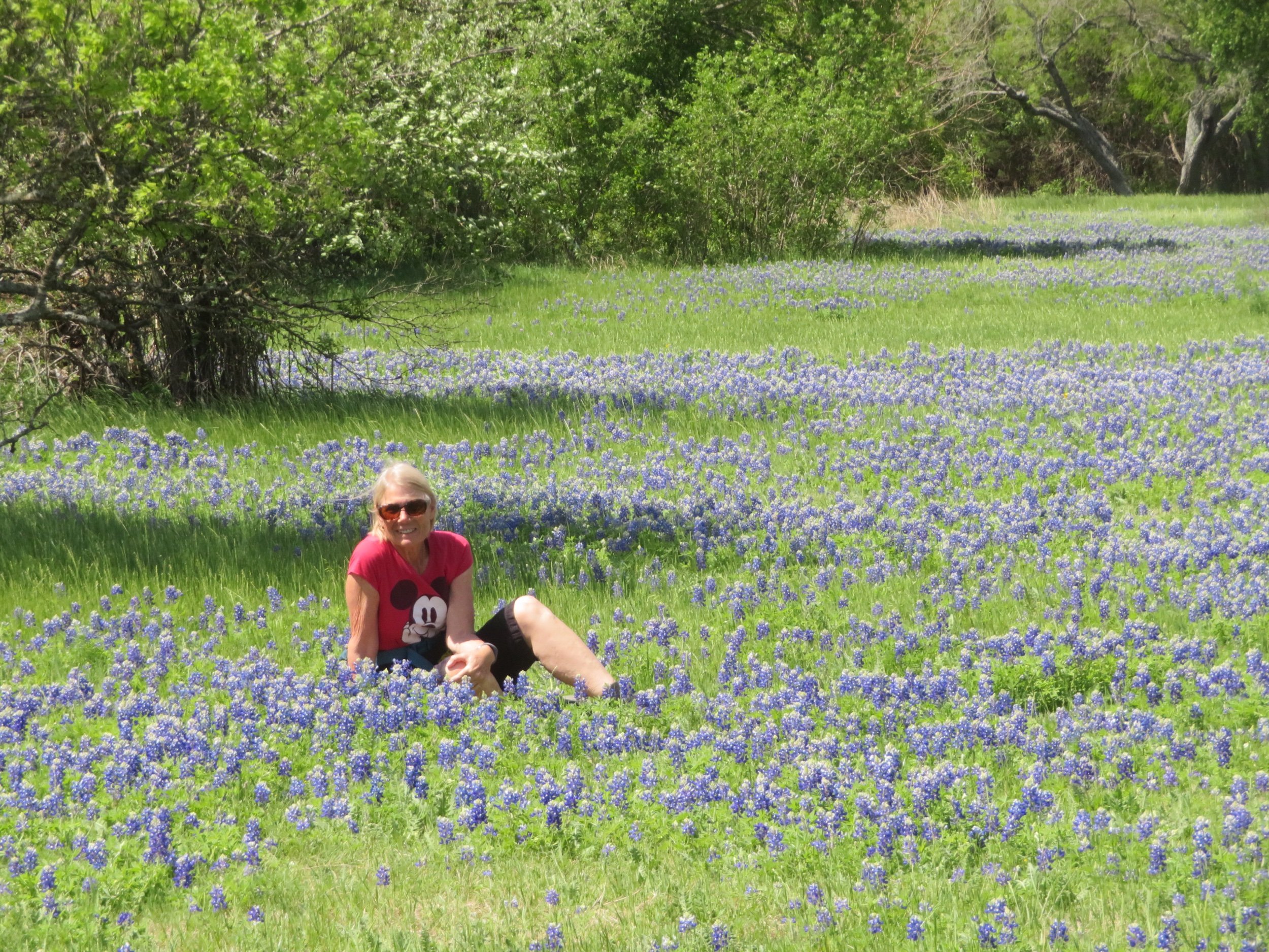 McKinney Falls State Park - Within Austin City Limits