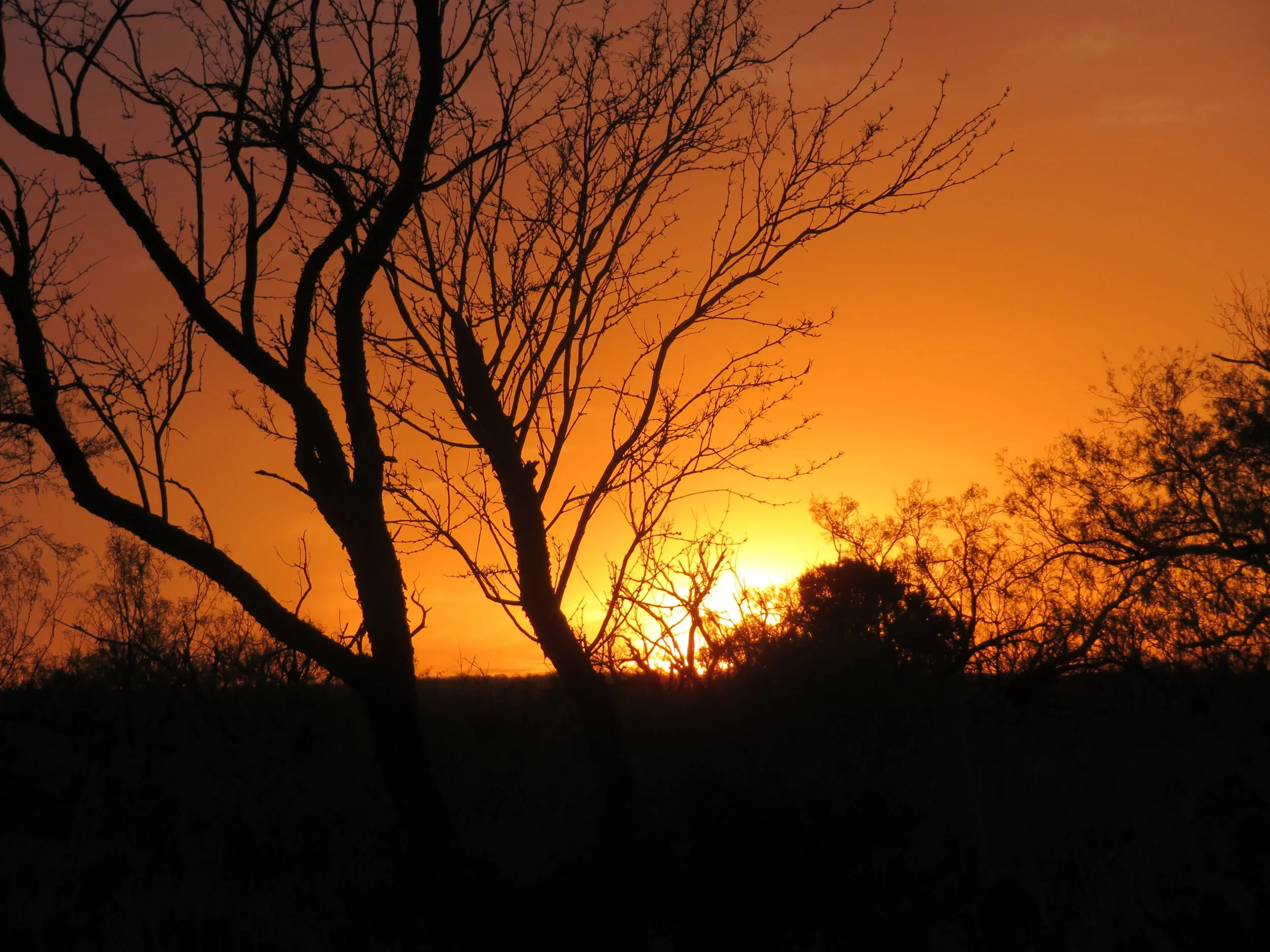  Lake Colorado City State Park – Sweltering Temps and Sunsets