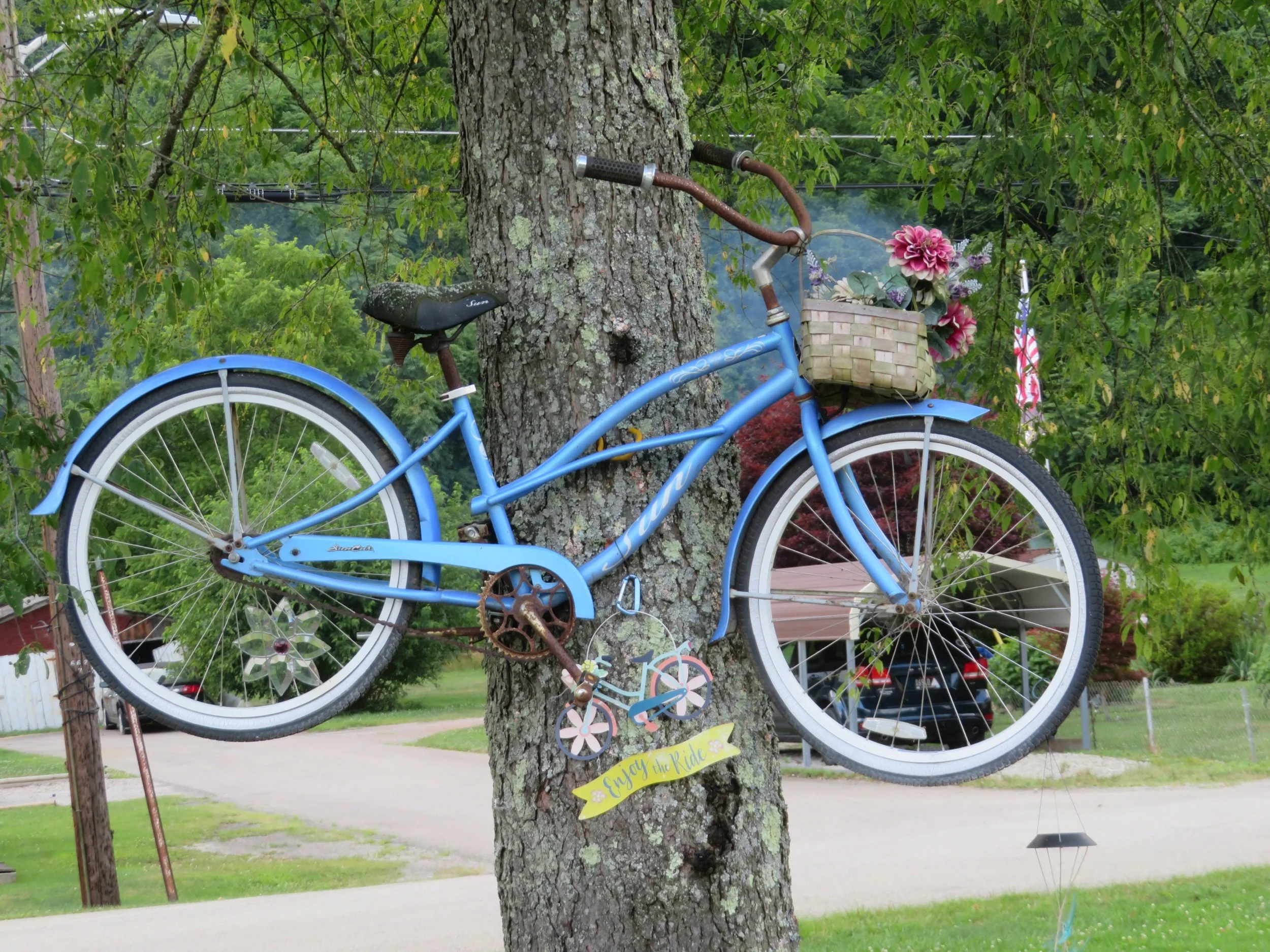 Cycling the Great Allegheny Passage - 1