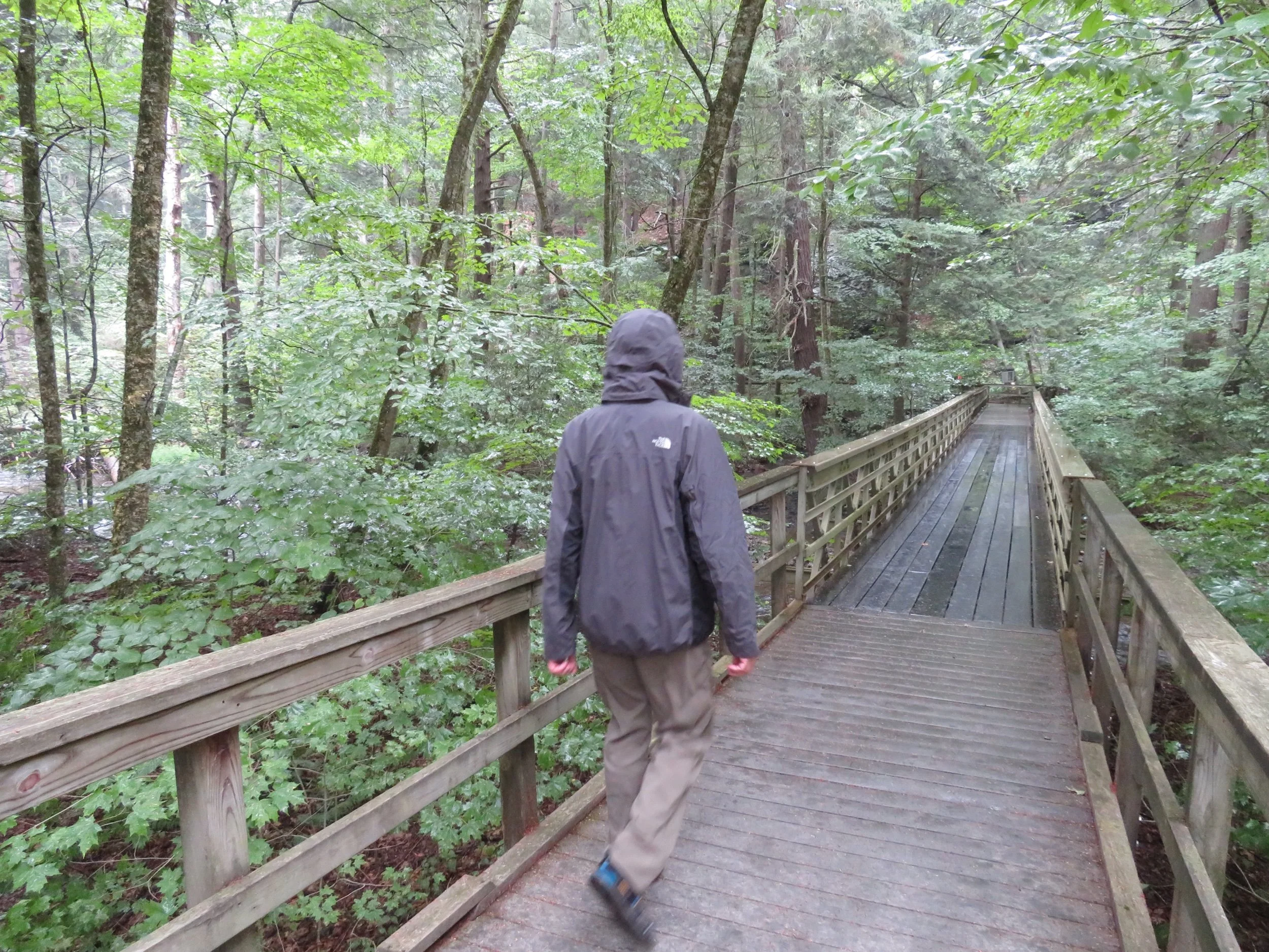 Big Macs, A New Hip &amp; Lots of Cameras