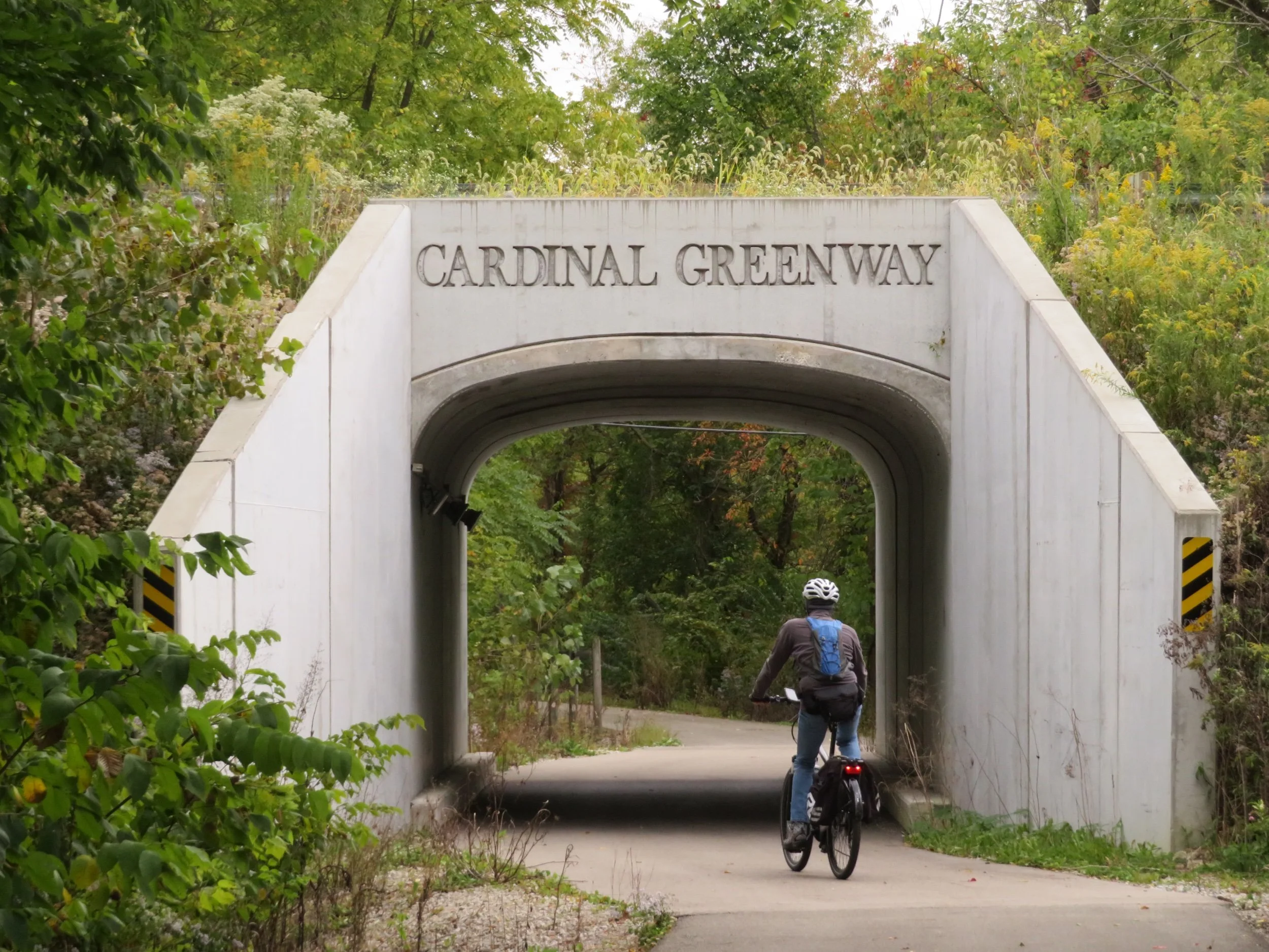 A 10th Birthday and Hello, Indiana