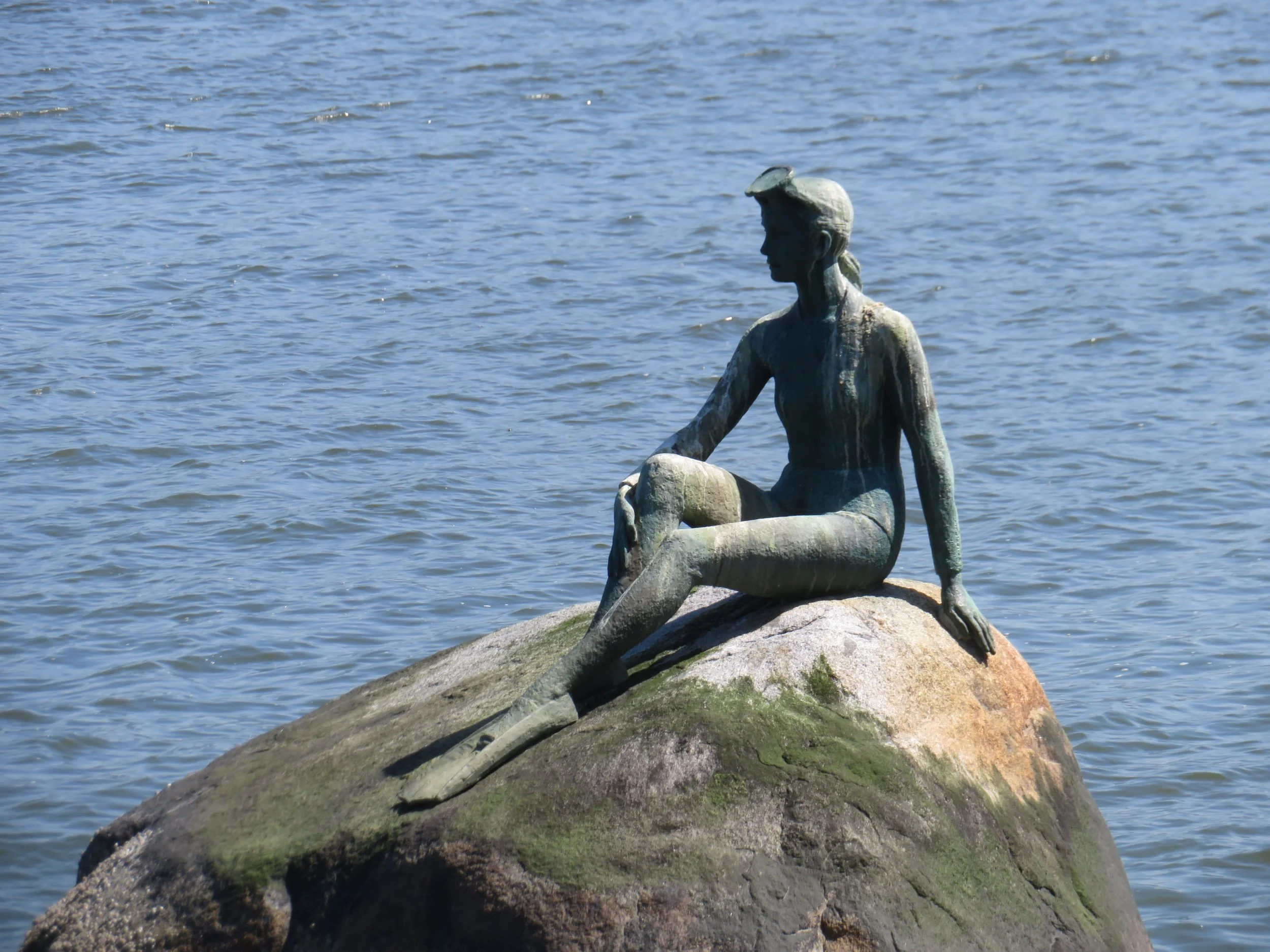 Vancouver’s Stanley Park