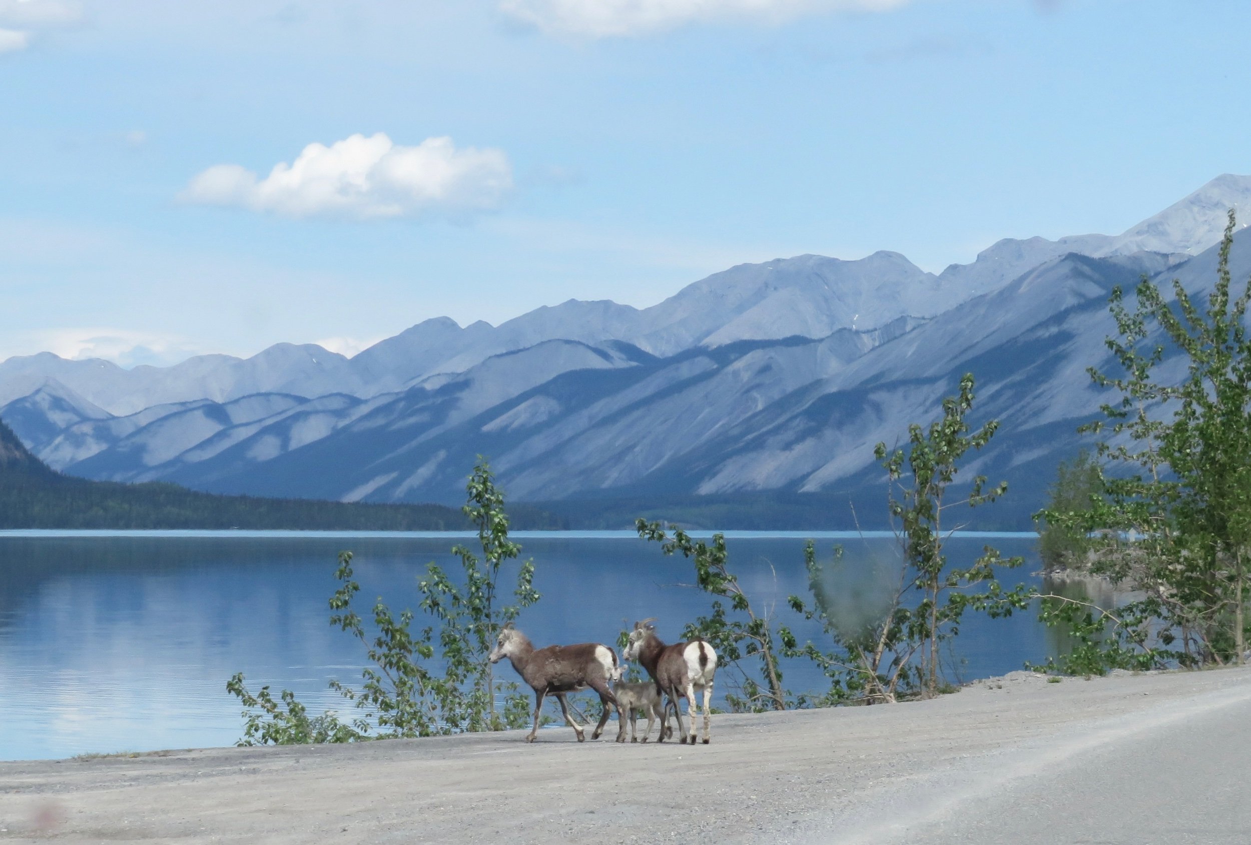 Alaska Highway - Dawson Creek to Liard Hot Springs