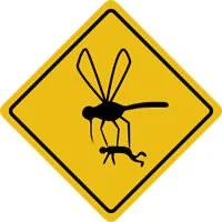 Mosquitoes - Alaska’s State Bird