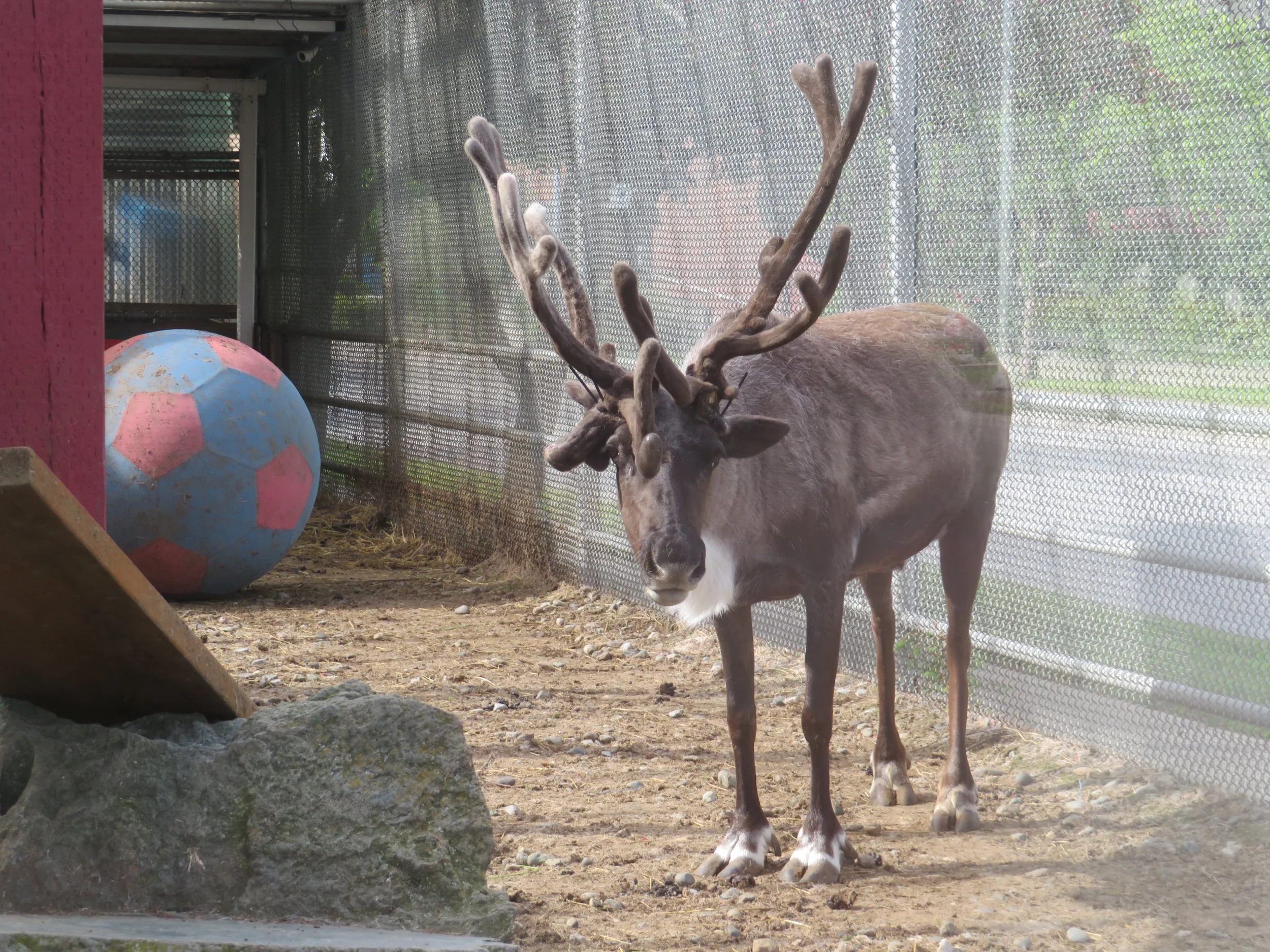 Three Days in Anchorage