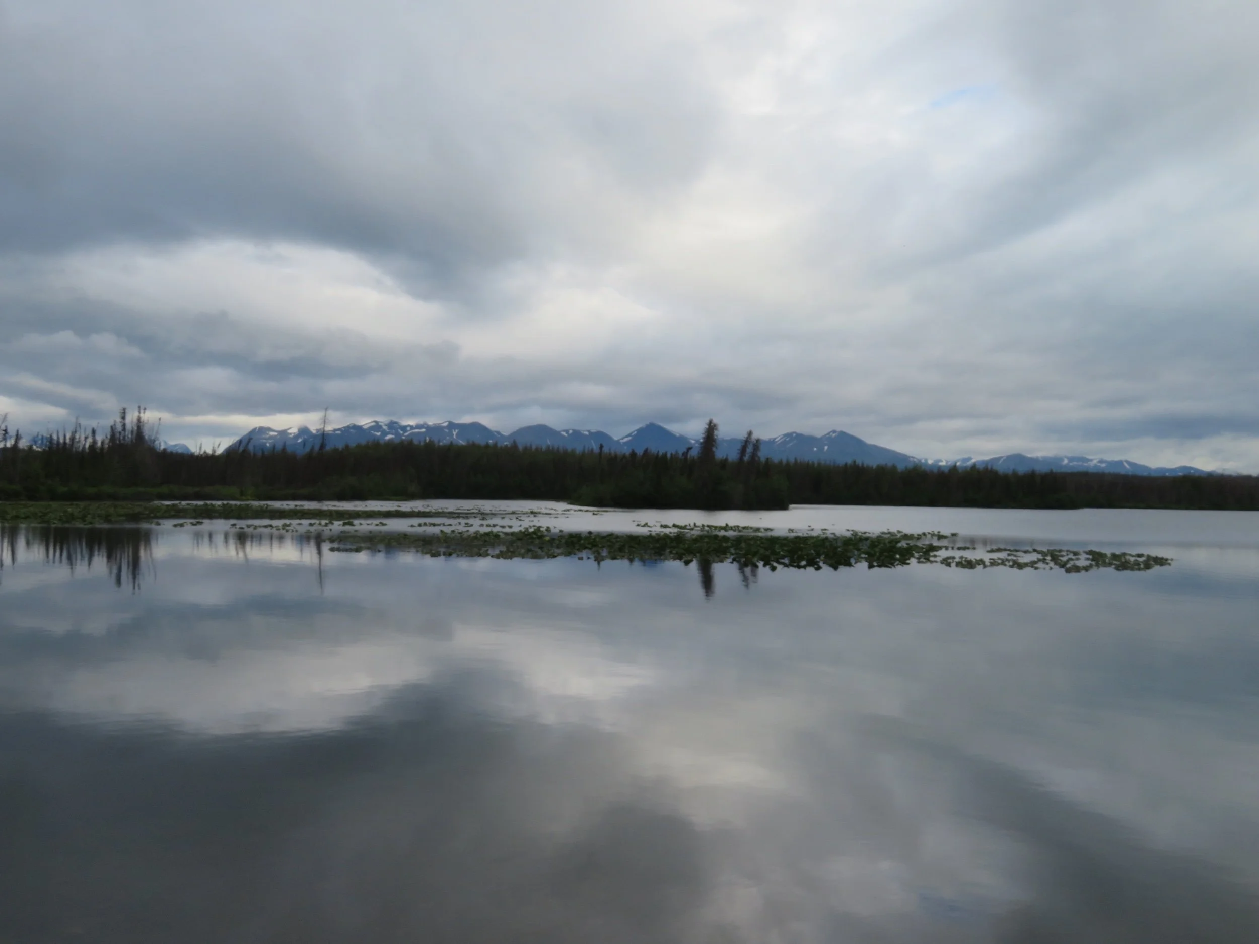Heading Back North on the Kenai