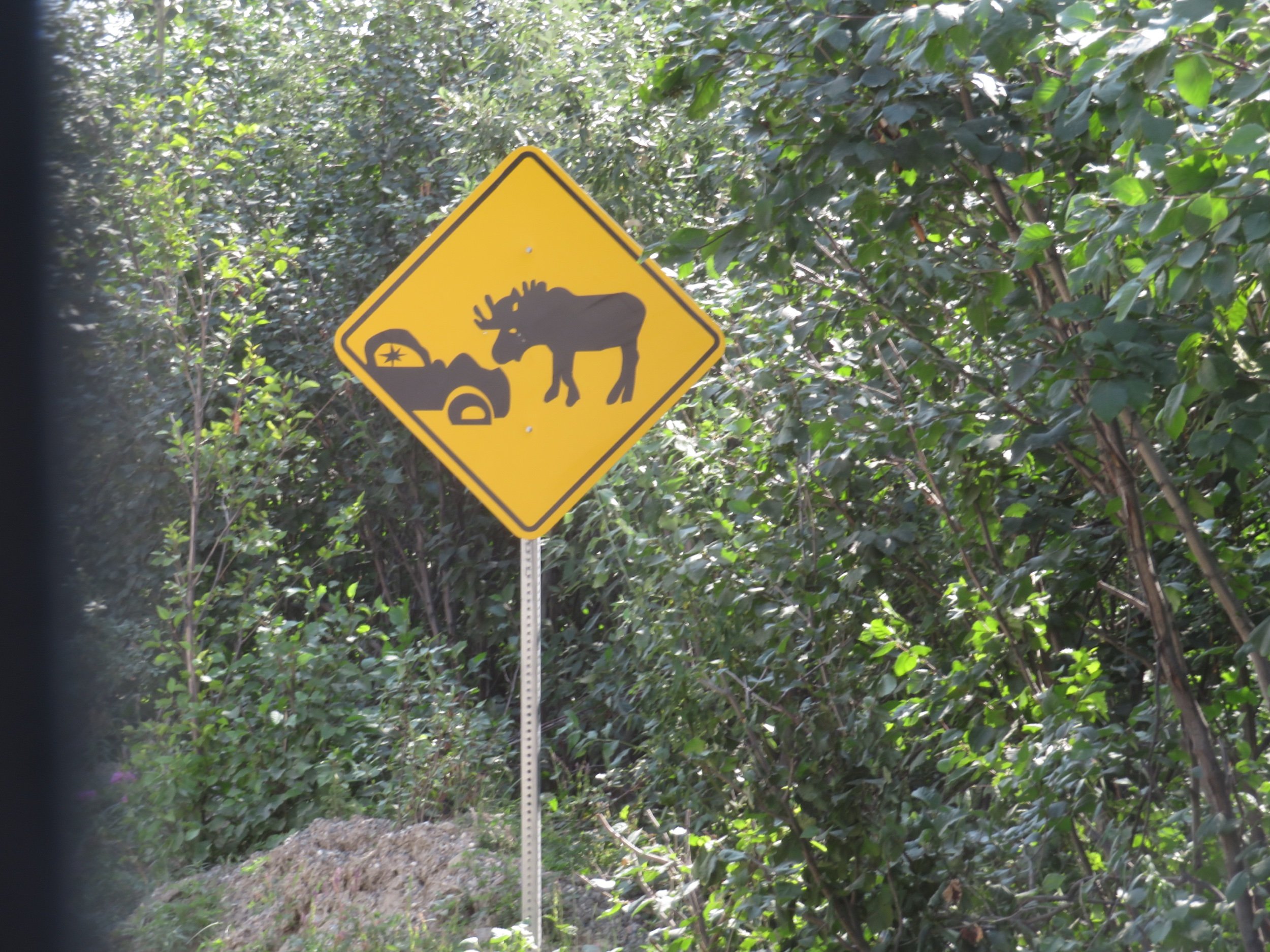Denali-grande_moose car sign.jpeg