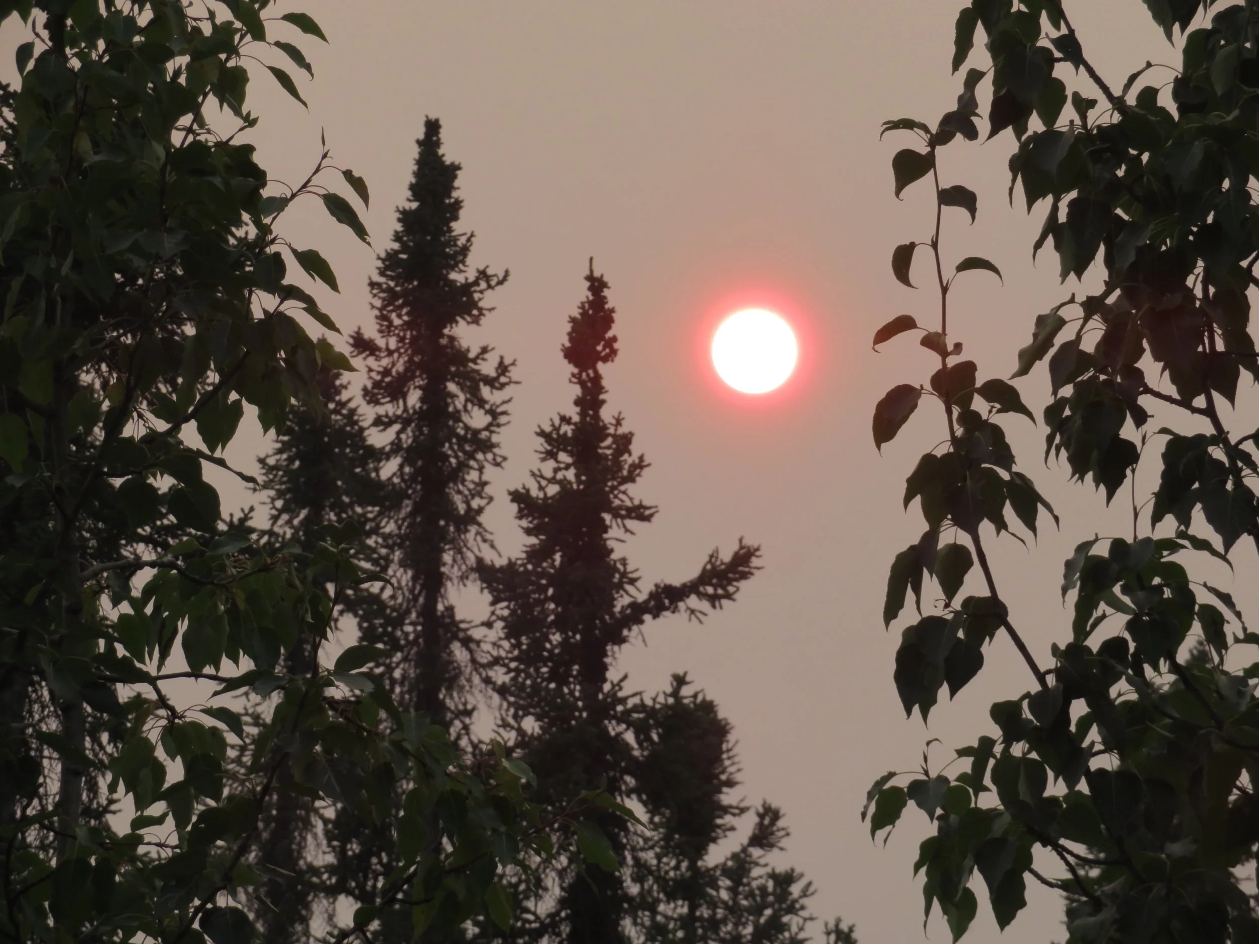 Down the Dalton to Fairbanks