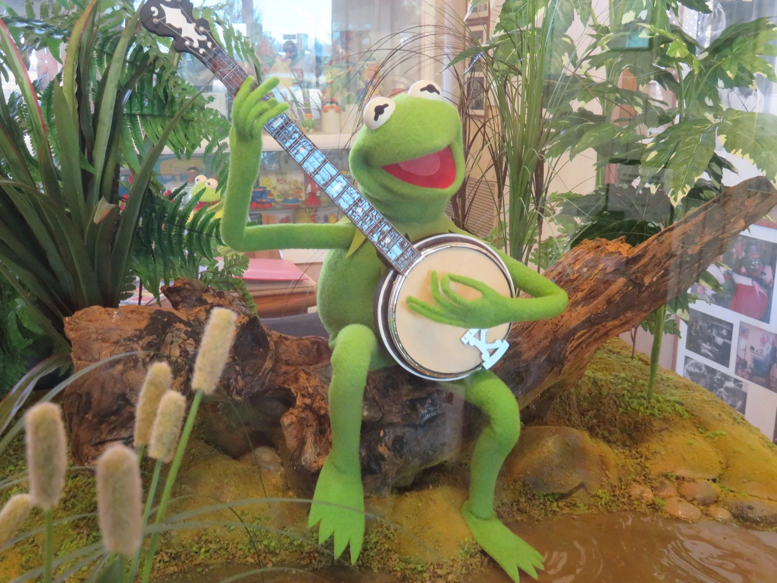Visiting the Birthplace of Kermit the Frog
