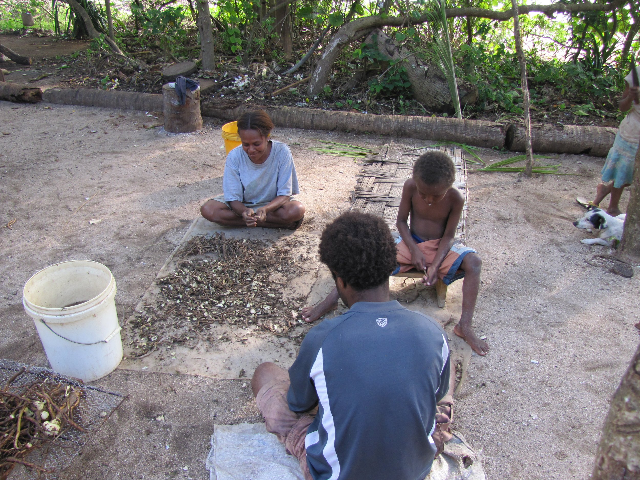 Preparing kava is a community effort.