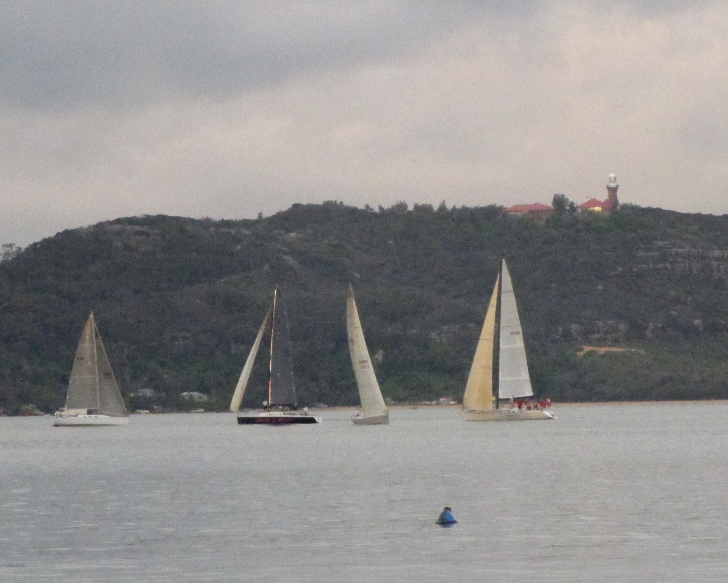 Pittwater Yacht Club races