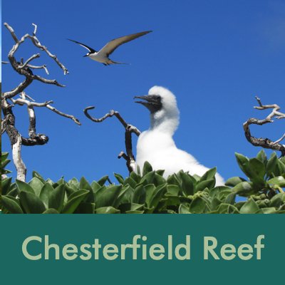 Chestefrield Reef.jpg