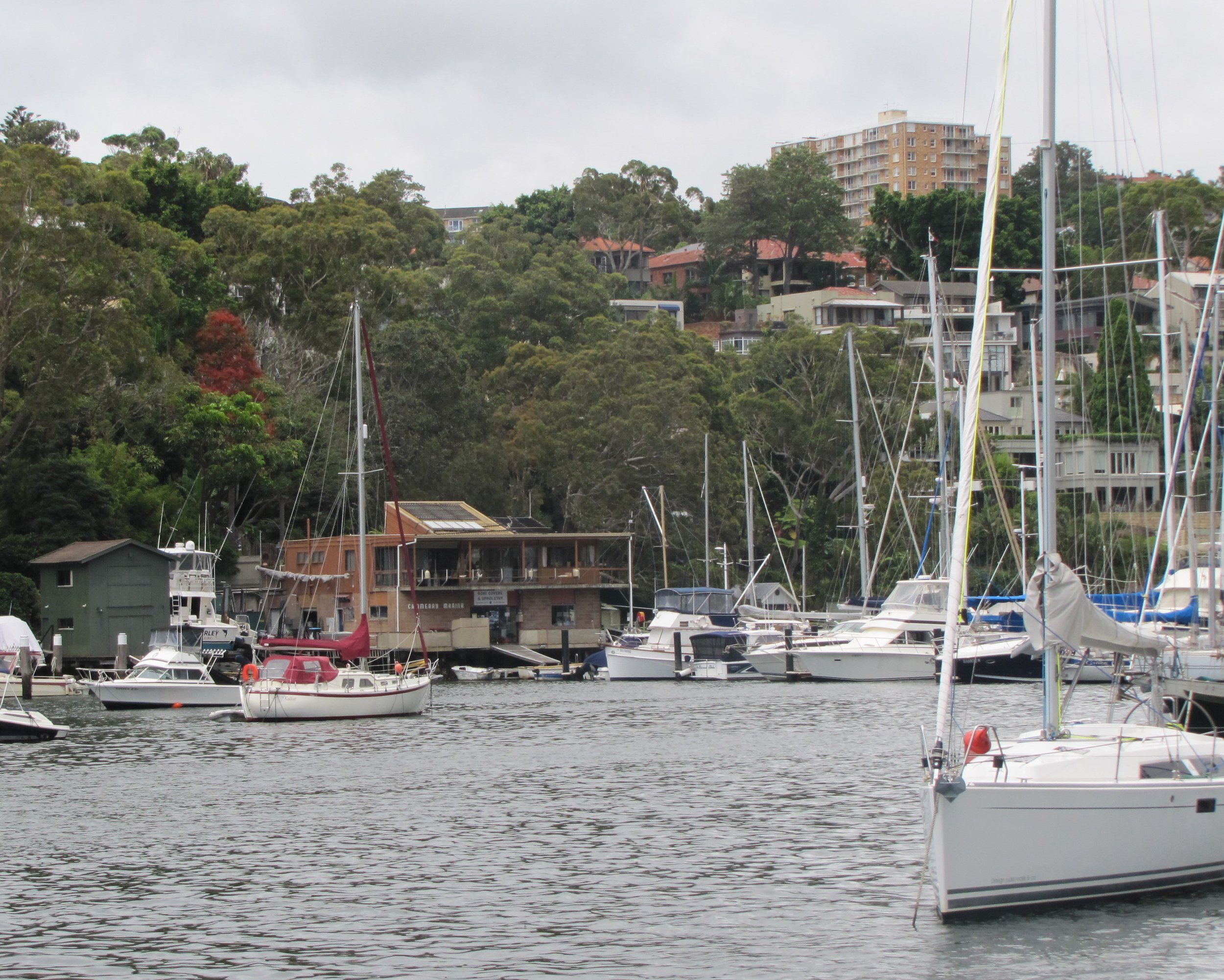 Cammeray Marina was a busy place.