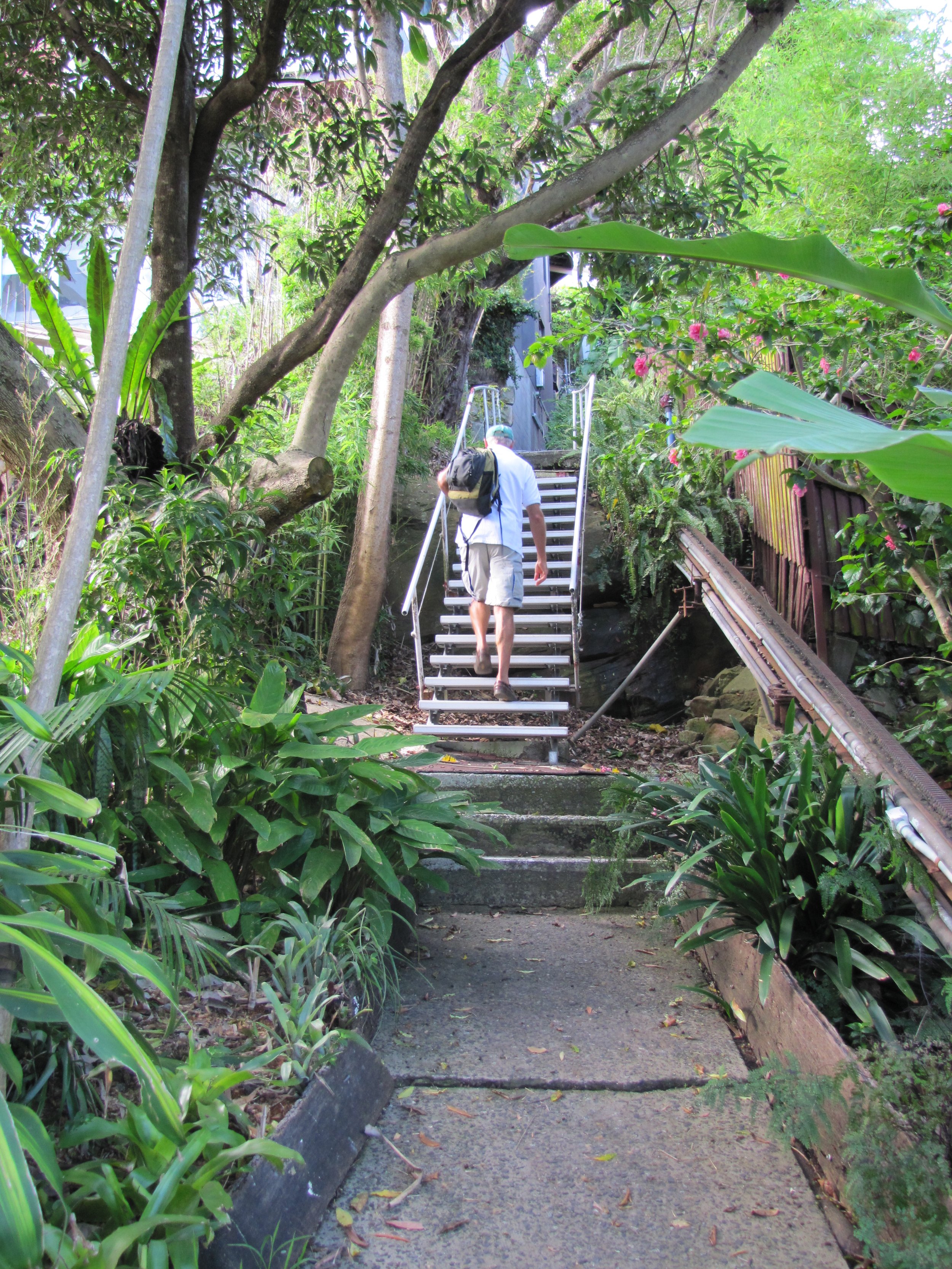 109 steps to the road above the marina
