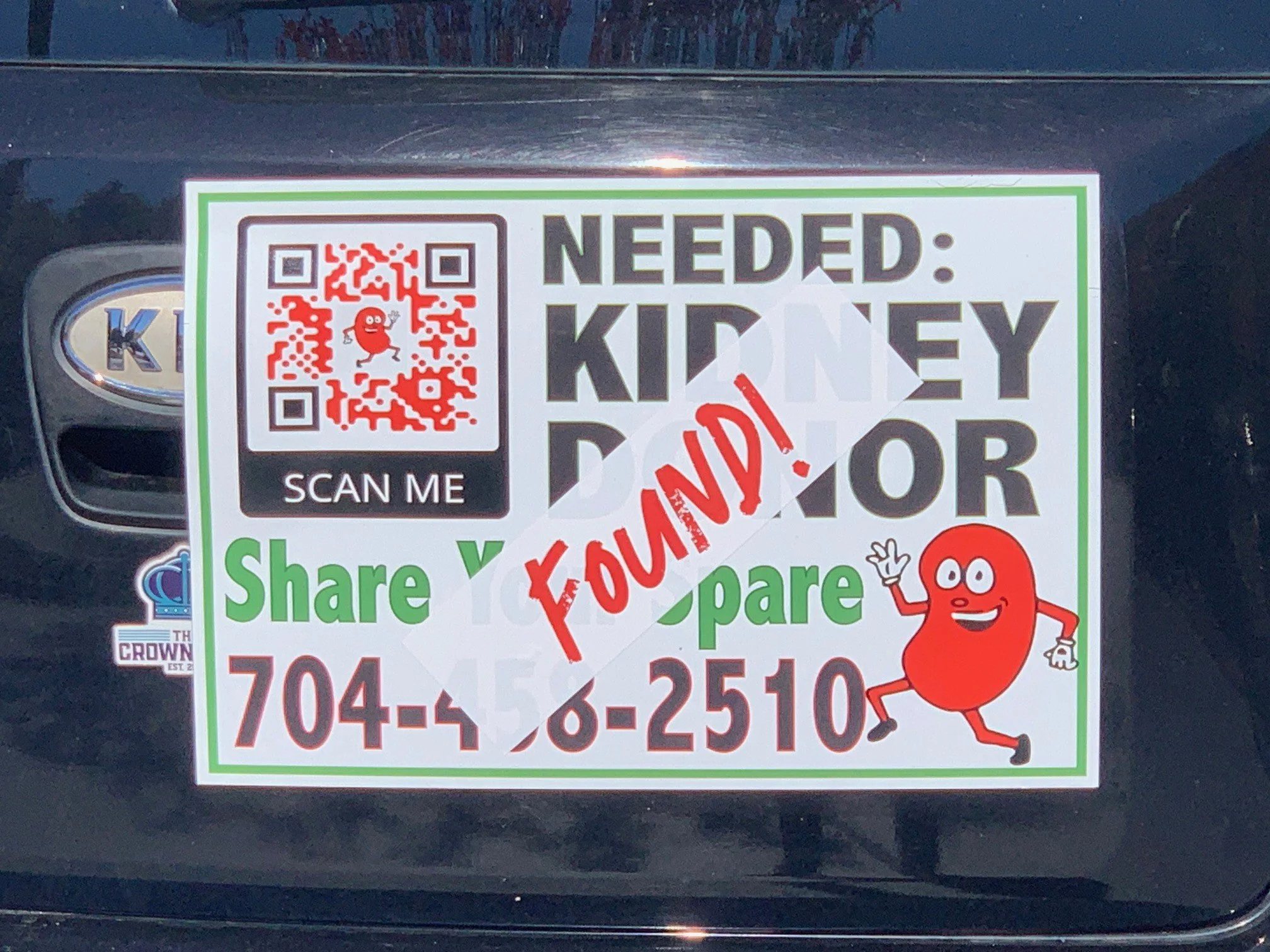 Happy Kidney Day!