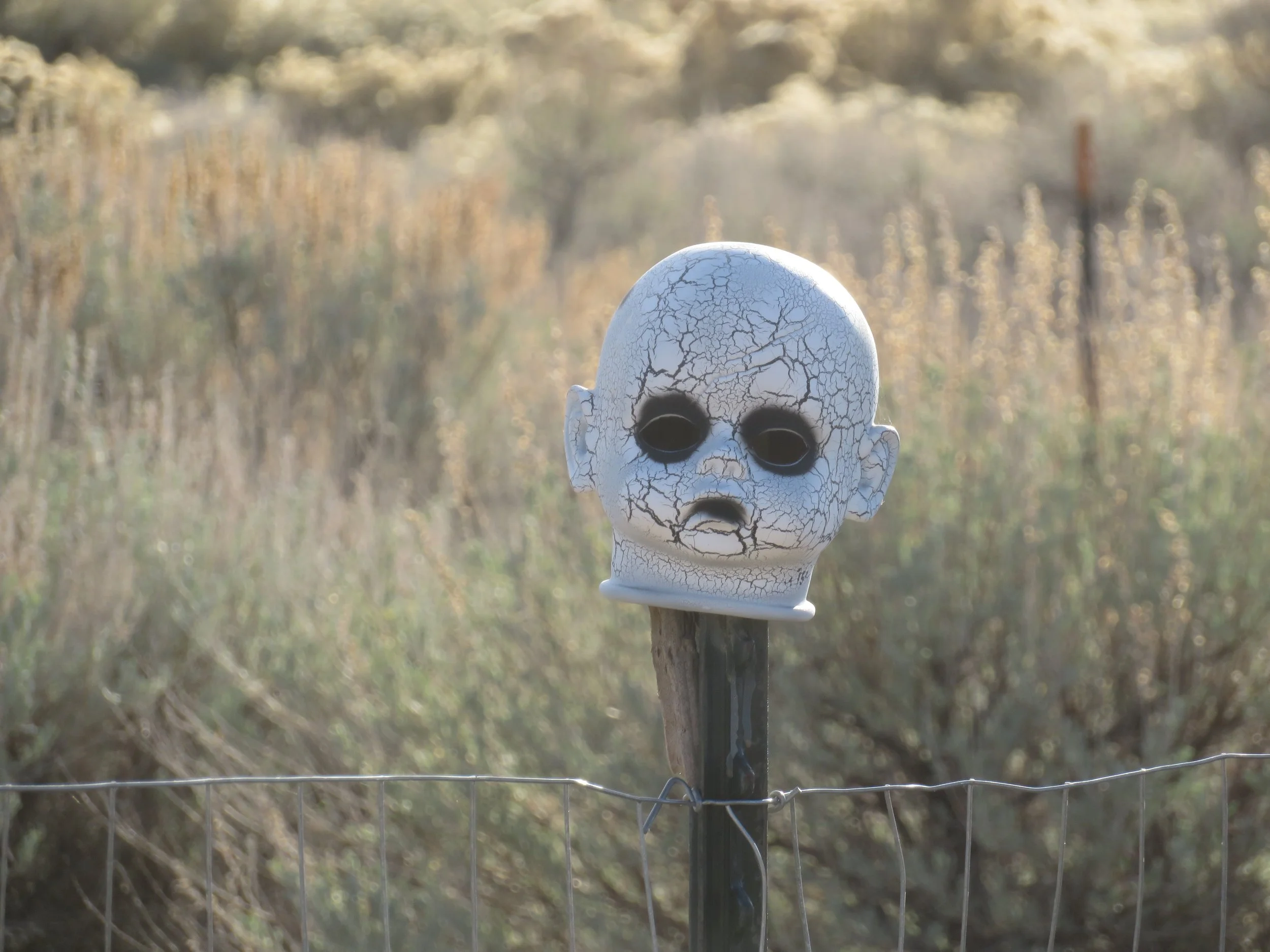 Utah_crazed doll head on post.JPG