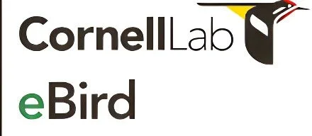 cornell-lab-ebird.jpg