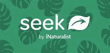 seek logo.jpeg