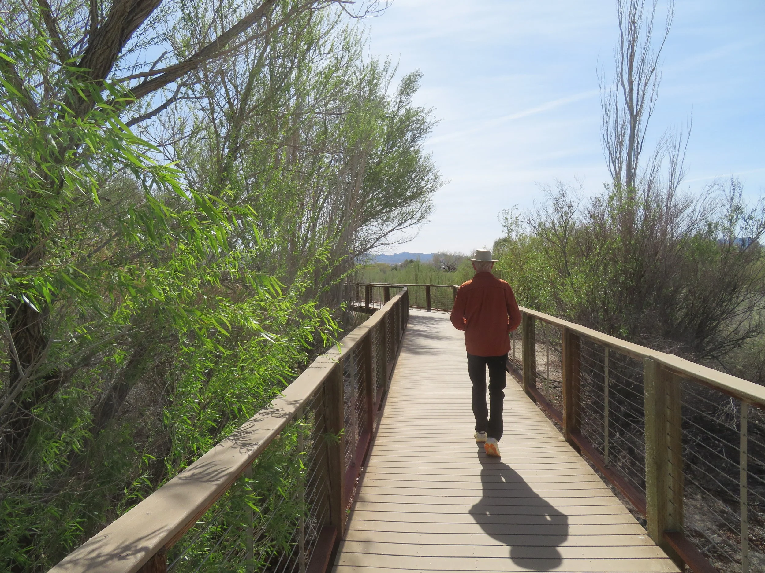 Walking on the boardwalk