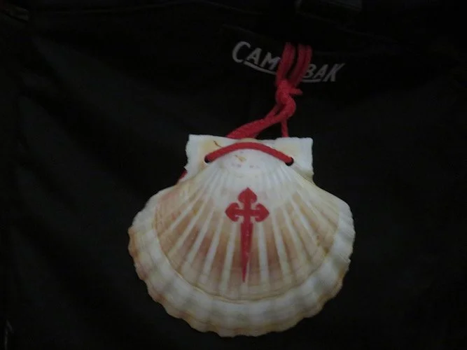 The Scallop Shell - Symbol of the Camino