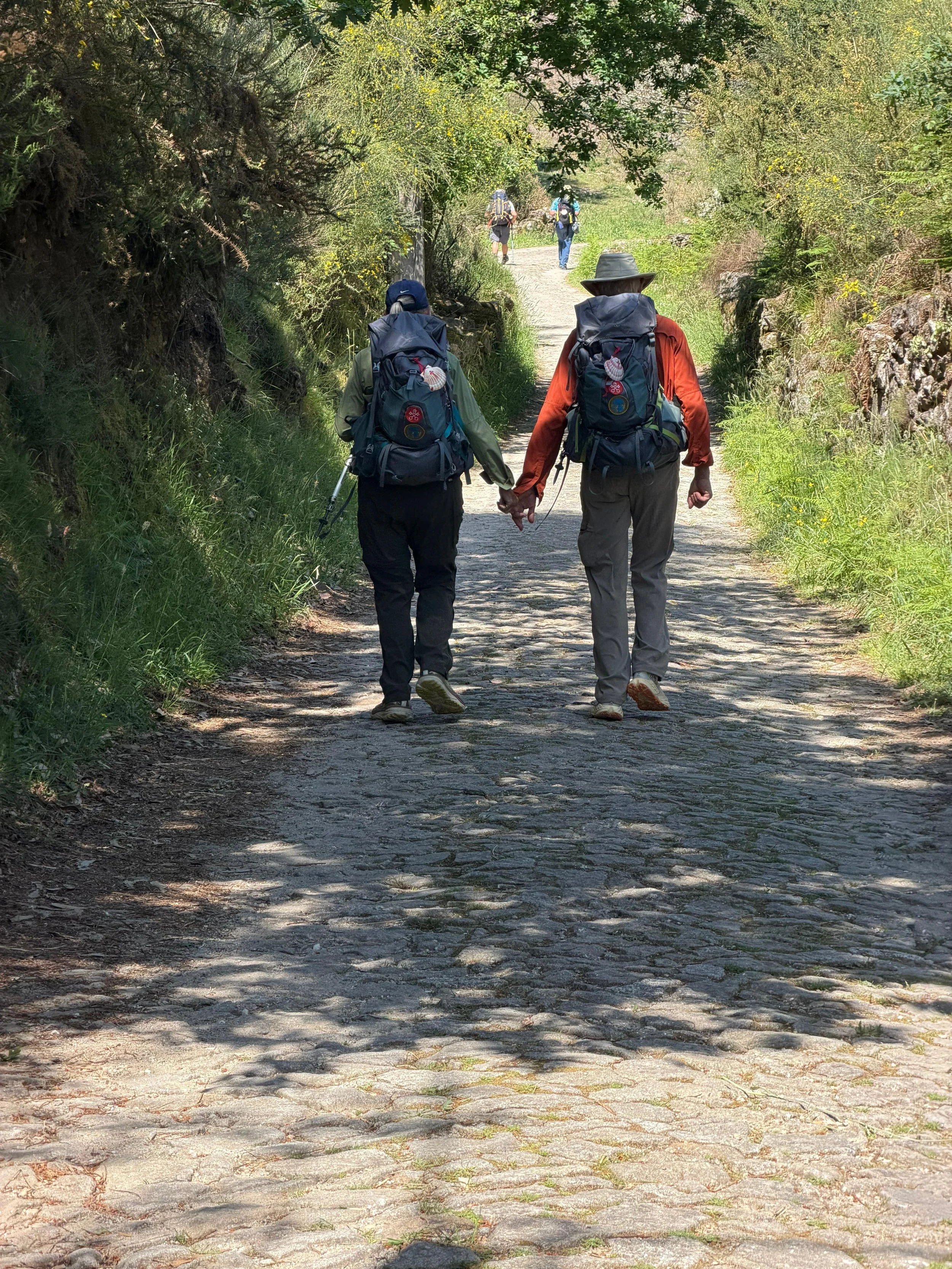 Day 9 - The Hardest Day - Ponte de Lima to Rubiães