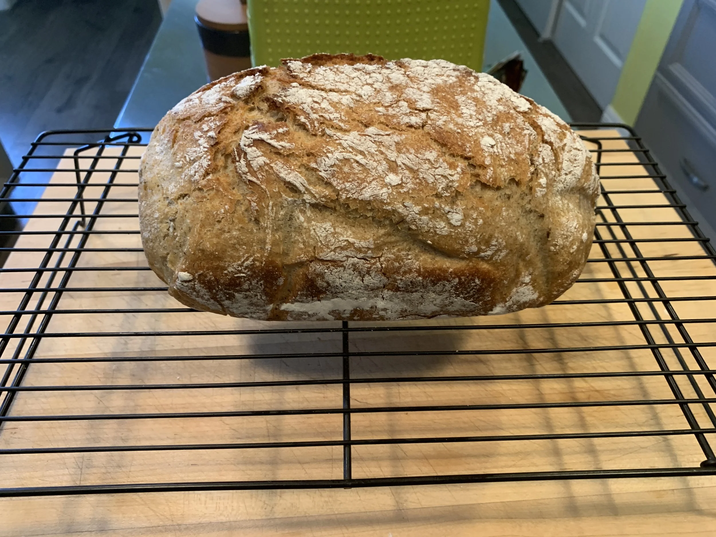 Give Us Our Daily Bread