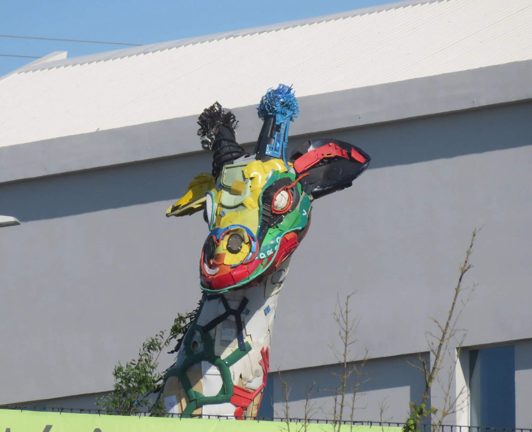 Random Photos Along the Camino