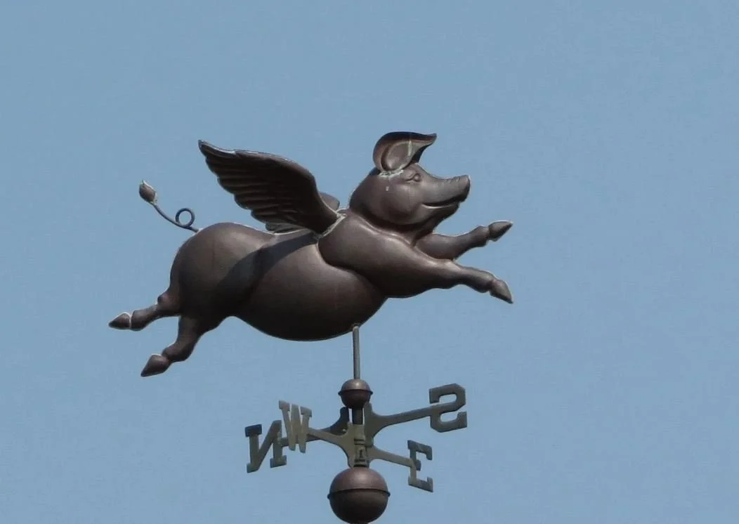 When Pigs Fly Day