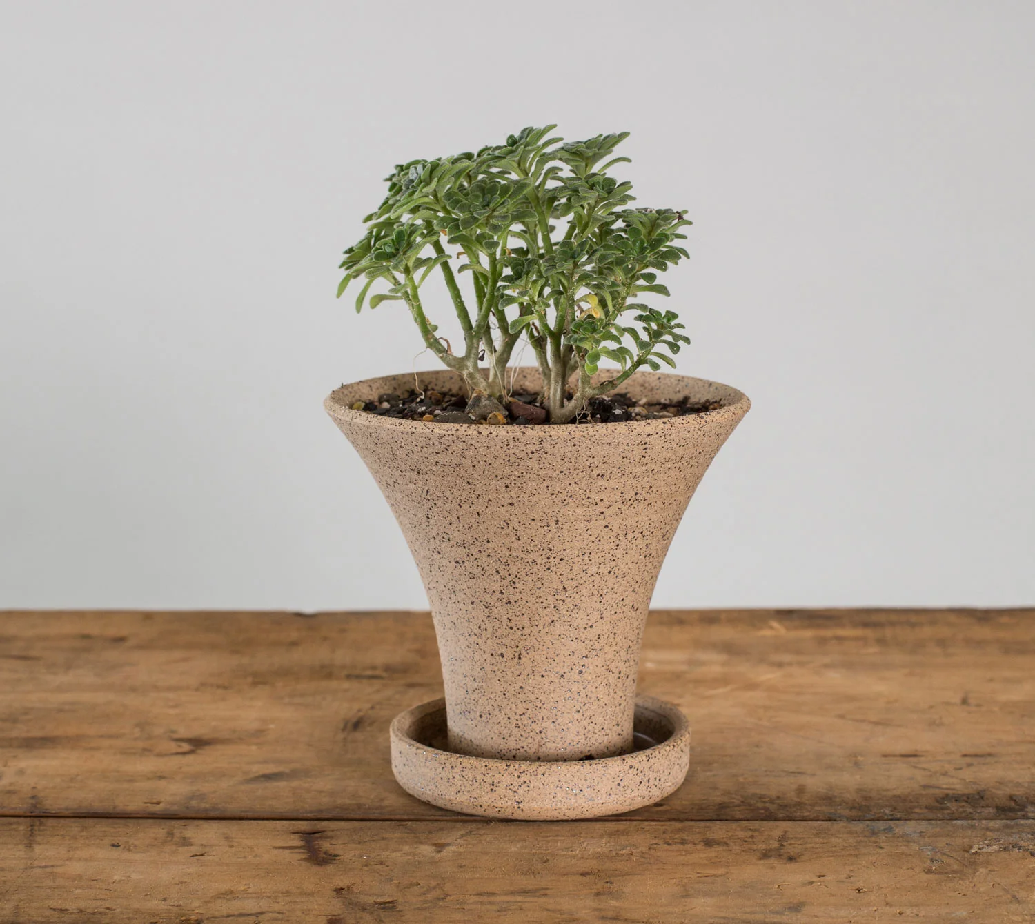 planter-grey.jpg