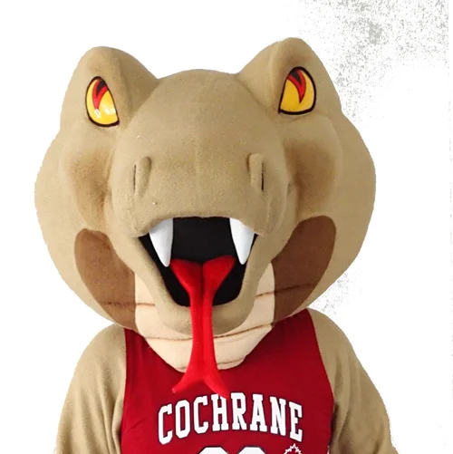 Cochrane High Cobras