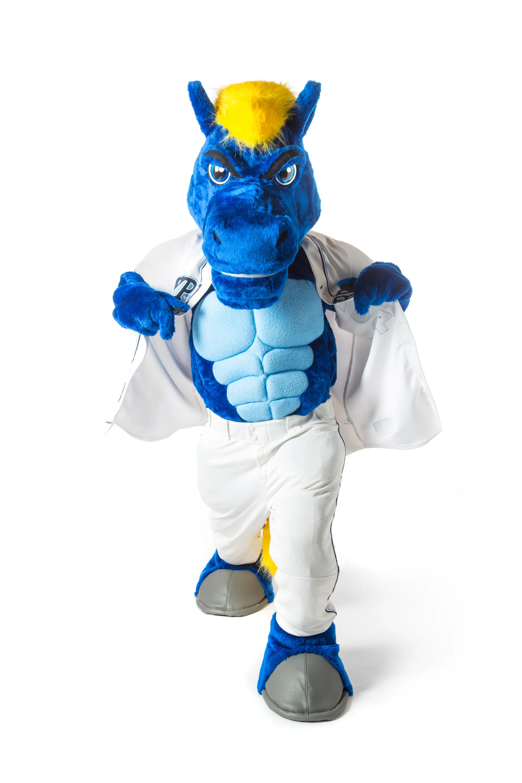 Chargers The Mascot Company