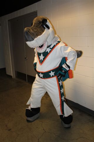 Sharkie  The Mascot Company