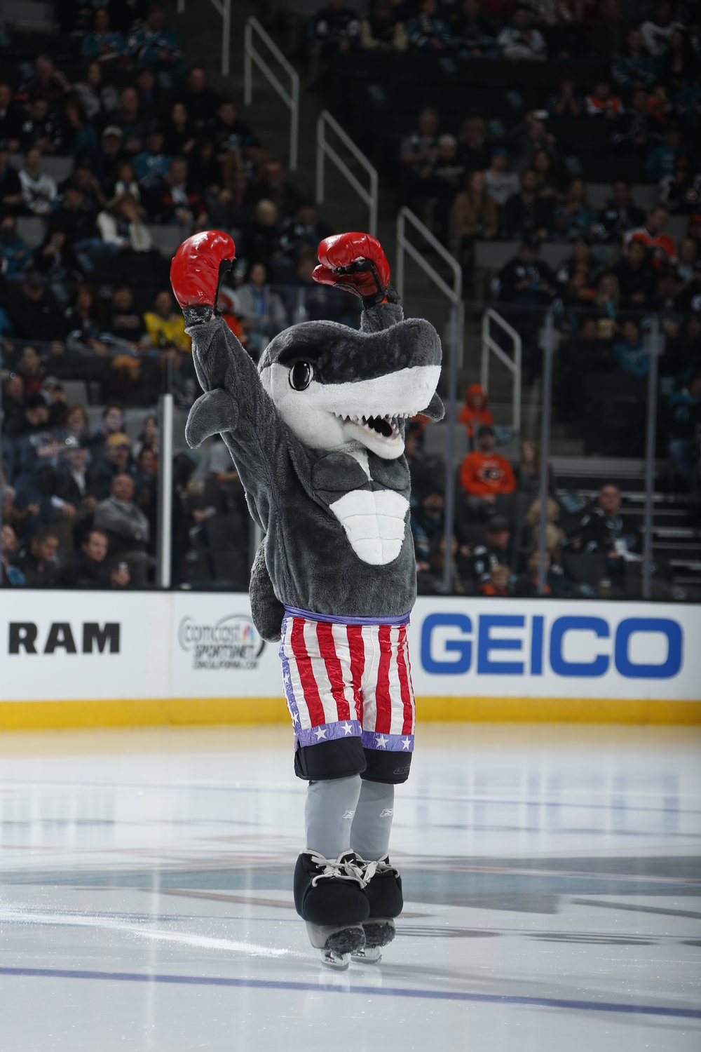 Rasta Imposta Sharkie Mascot Headband NHL Ice Hockey San Jose Sharks Sports  Fan Gear, Adult One Size