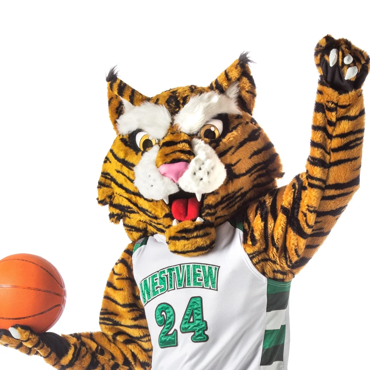 Westview High Wildcats