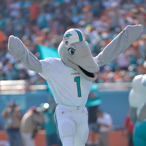 TD - Miami Dolphins