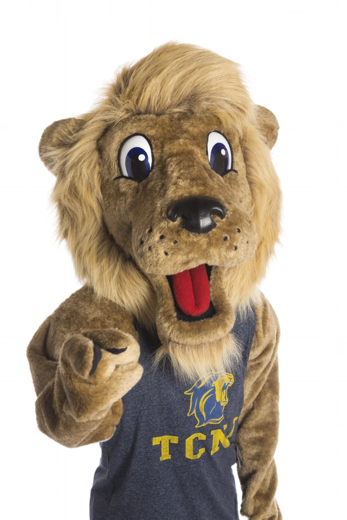 Roscoe - The College of New Jersey