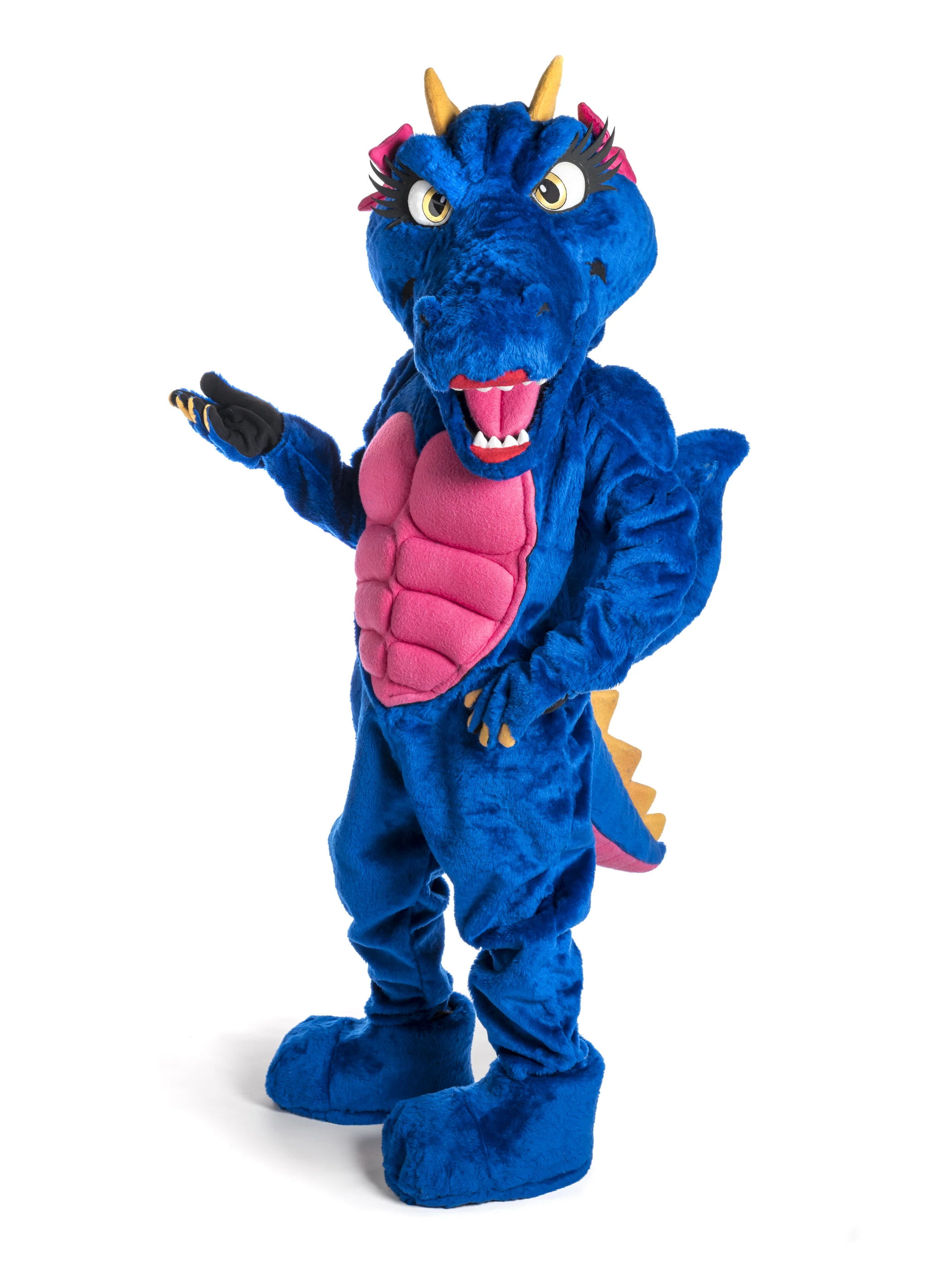 Ron Clark Academy Dragons The Mascot Company