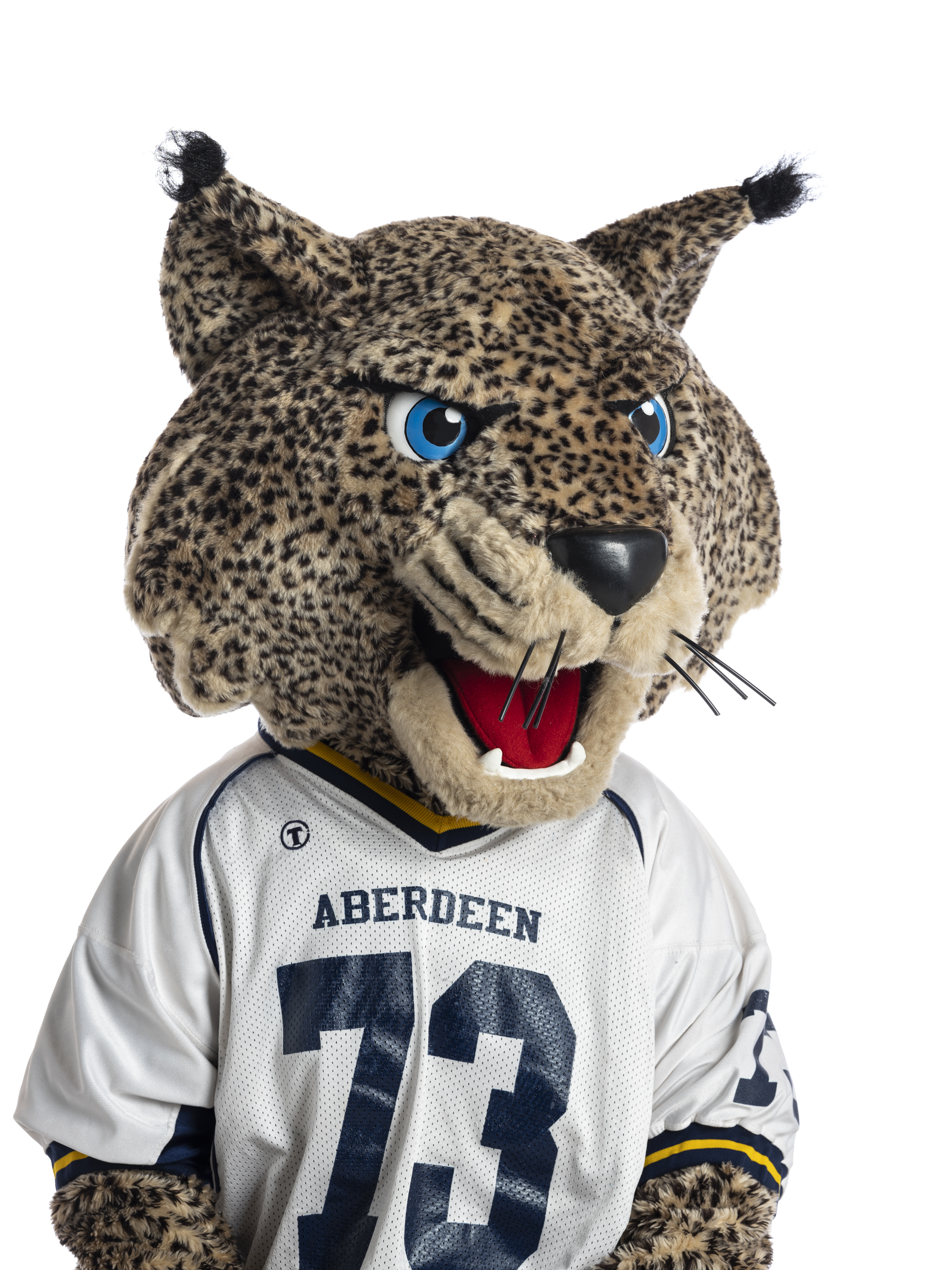 Aberdeen High Bobcats