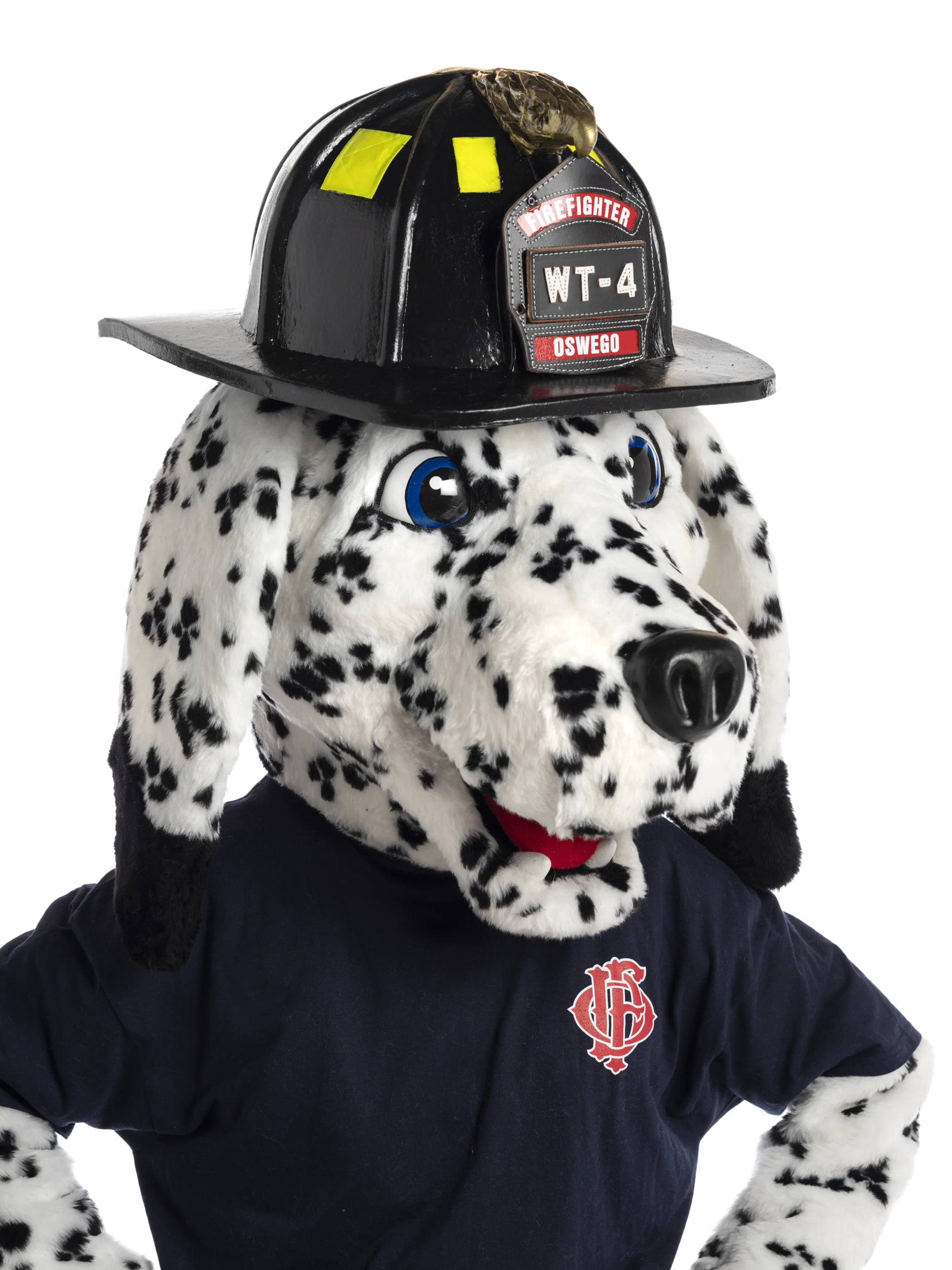 Oswego Fire Protection Services