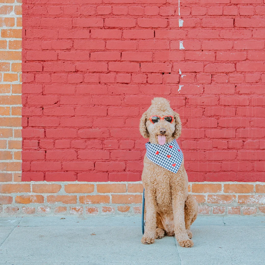 Moca modeling the Scattered Hearts Gingham Bandana.