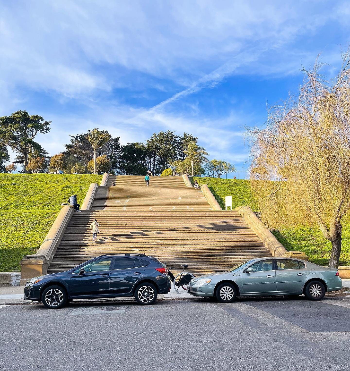 San Francisco stairs continued ✨ These ones are fun to run up and down.

📍 Alta Plaza Park, San Francisco

🚶&zwj;♀️ 3 out of 10 beautiful staircases in SF

#altaplazapark #howsfseessf #alwayssf #sfinsta #sfguide #sfstairs #asideofsf