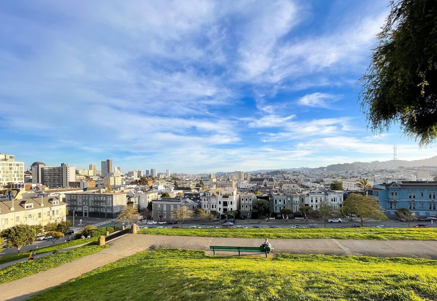 Do you wonder how does San Francisco look from the top of Alta Plaza stairs (see a couple of posts back)? Here is a sneak preview ☝️

📍 Alta Plaza Park, San Francisco

🚶&zwj;♀️ 3 out of 10 beautiful staircases in SF

#altaplazapark #howsfseessf #al