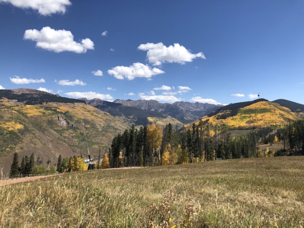 The Fall leaves in Vail