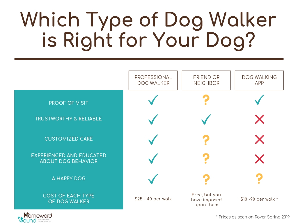 difference between wag and rover