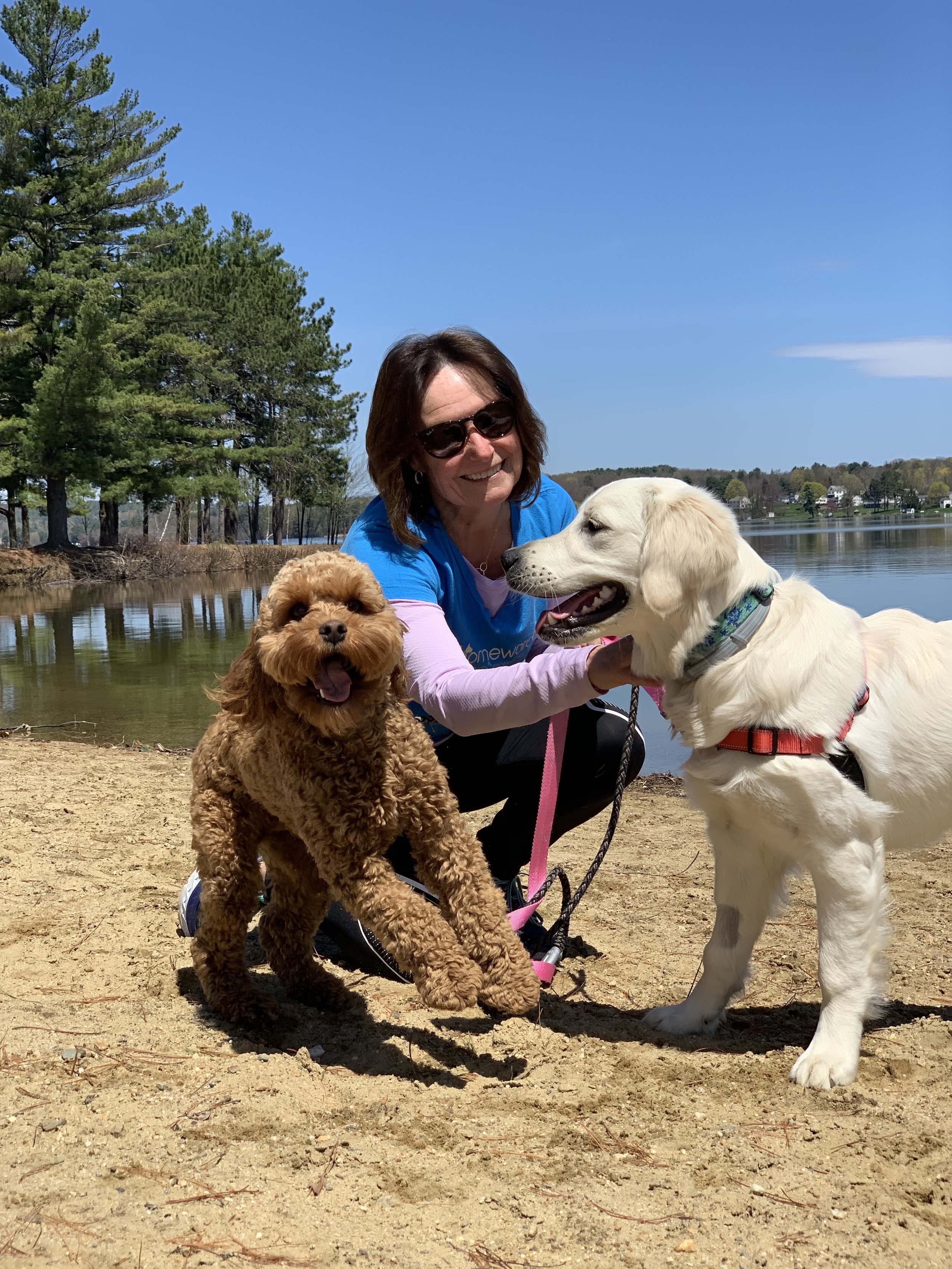 Lee with dog walking clients Andre and Maggie of Laconia at Opechee Park