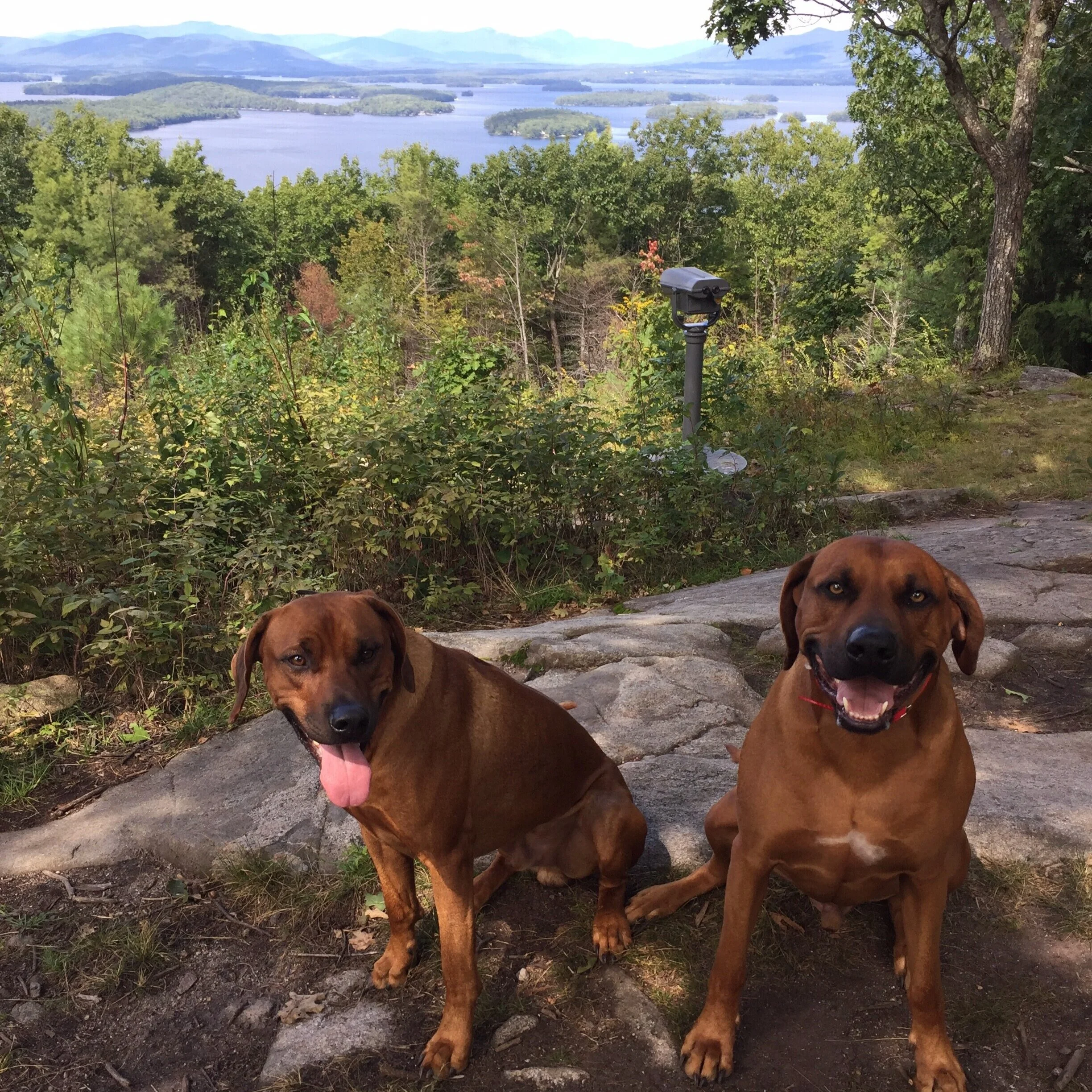 Having Fun on Lockes Hill in Gilford