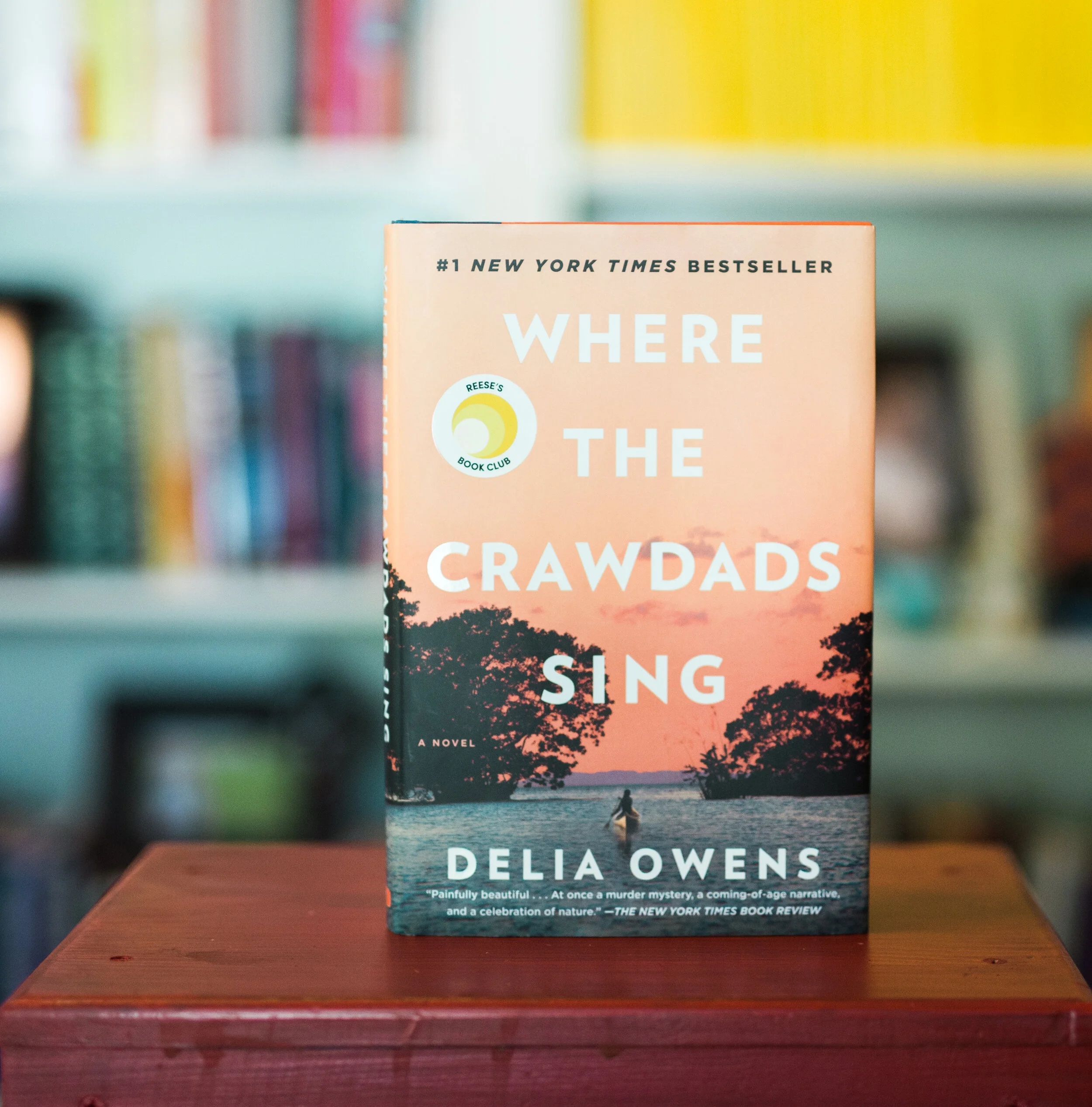crawdads (2 of 2).jpg