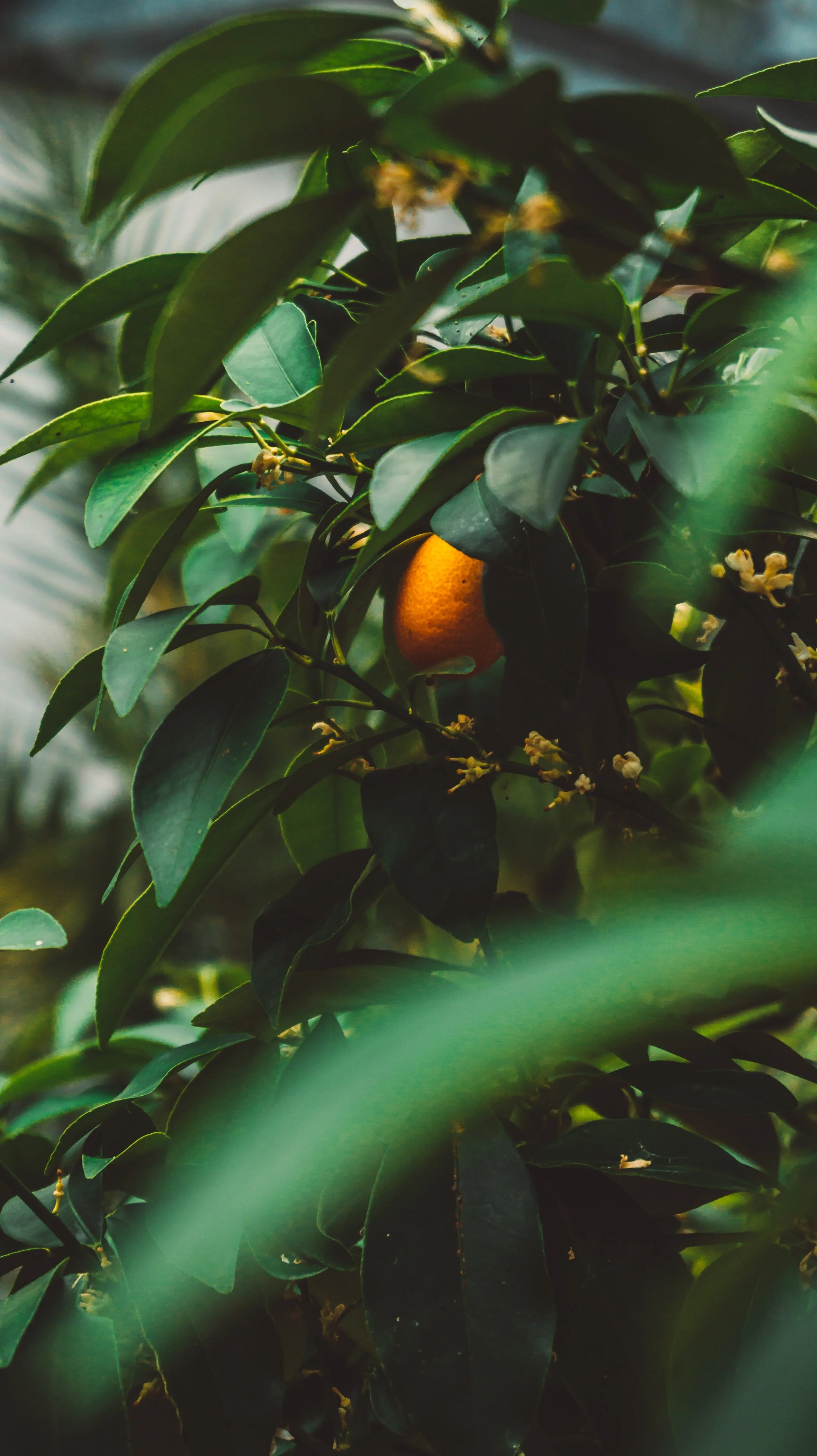 Photo by David von Diemar on Unsplash